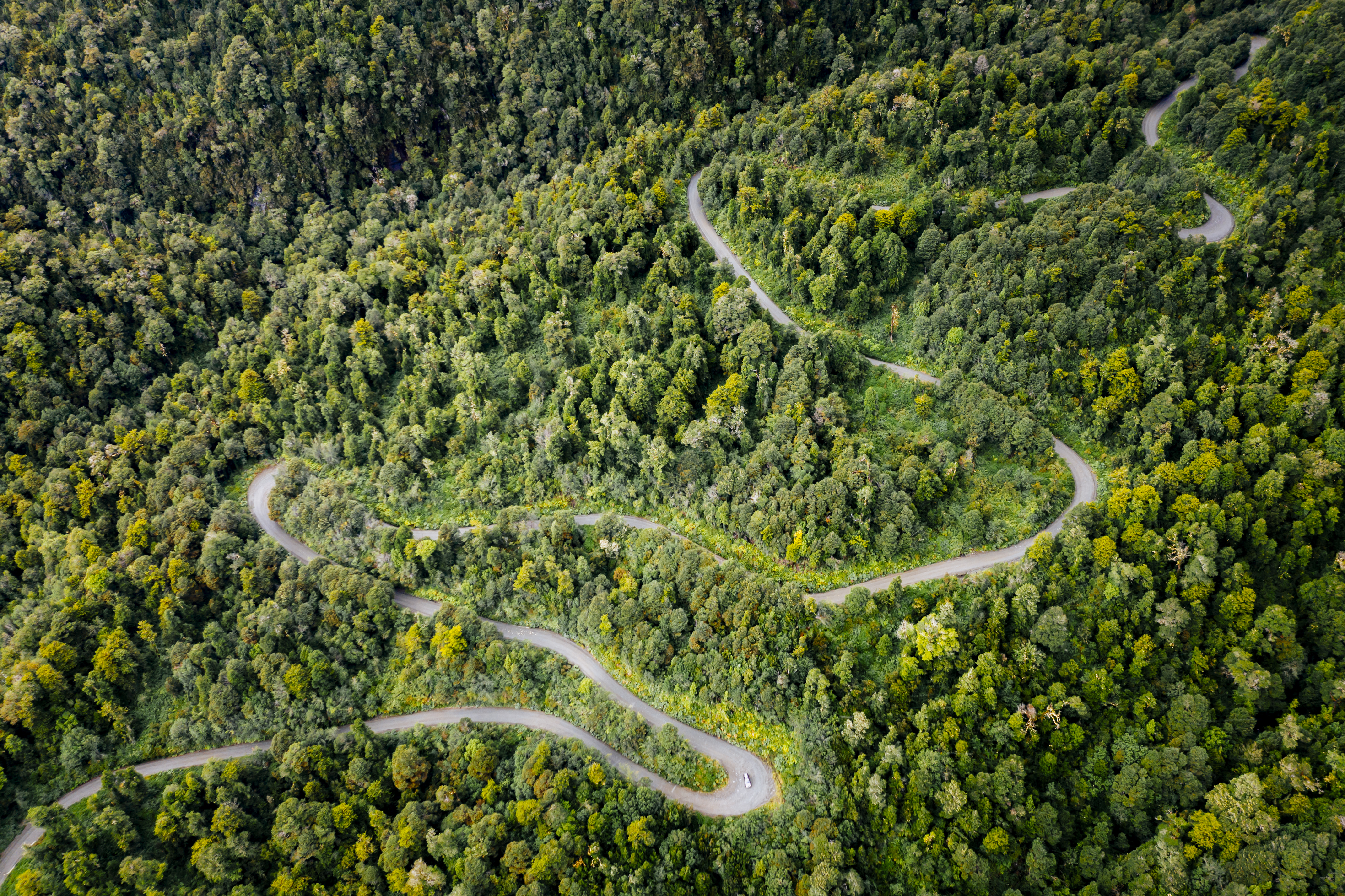 Explore the Queulat National Park scenery on a bike 