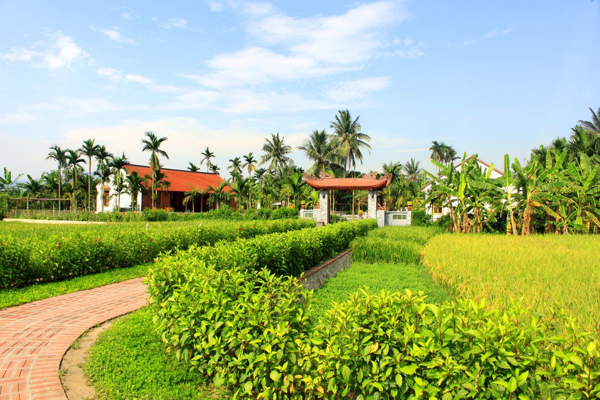 Explore the agricultural scene in Yen Duc Village