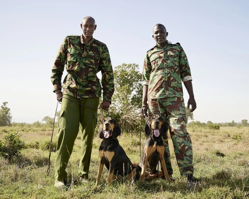 Learn about the K9 anti-poaching team in Laikipia