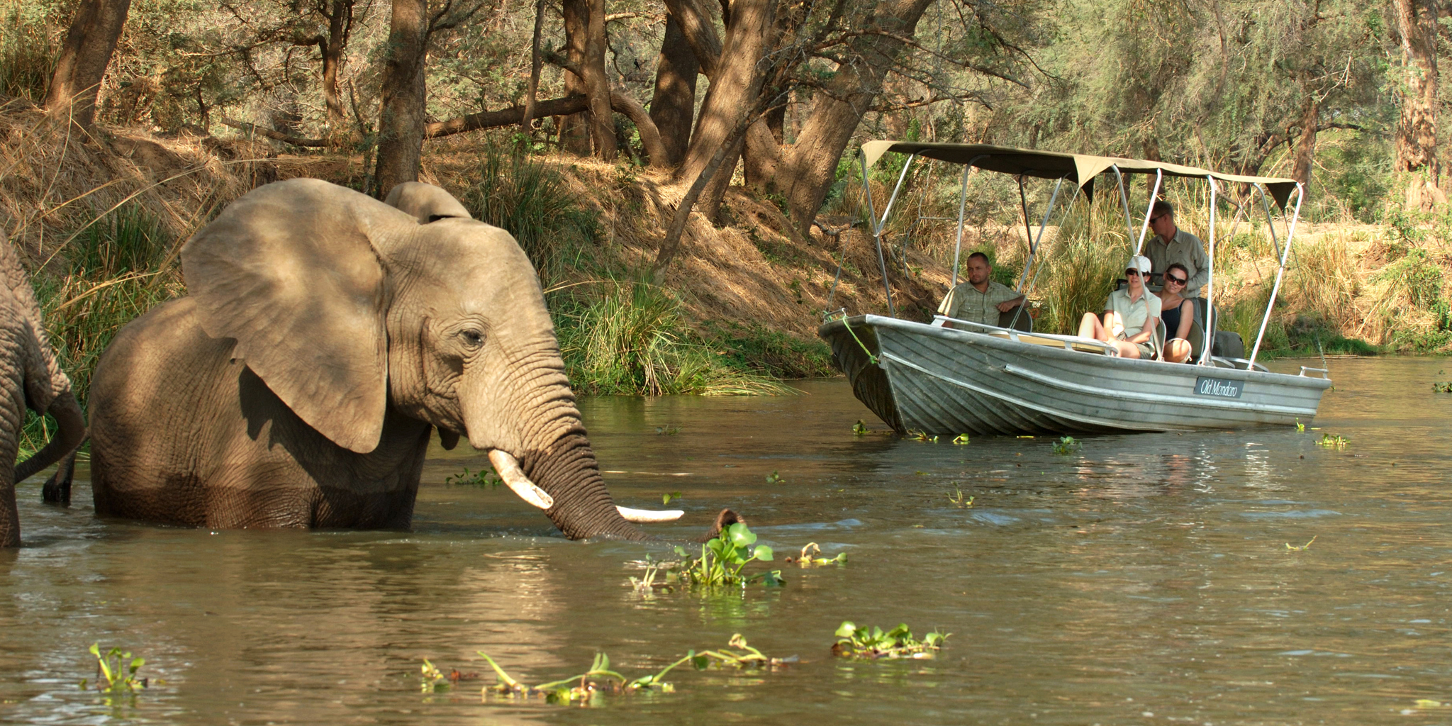 Float down the Zambezi on a sunset boat safari