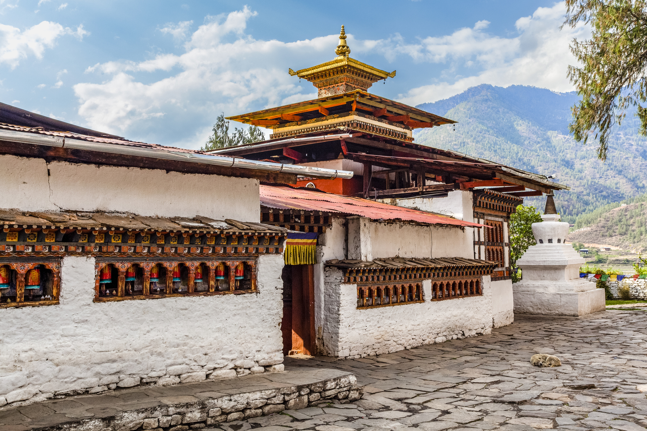 Visit the 7th century Kyichu Lhakhang temple