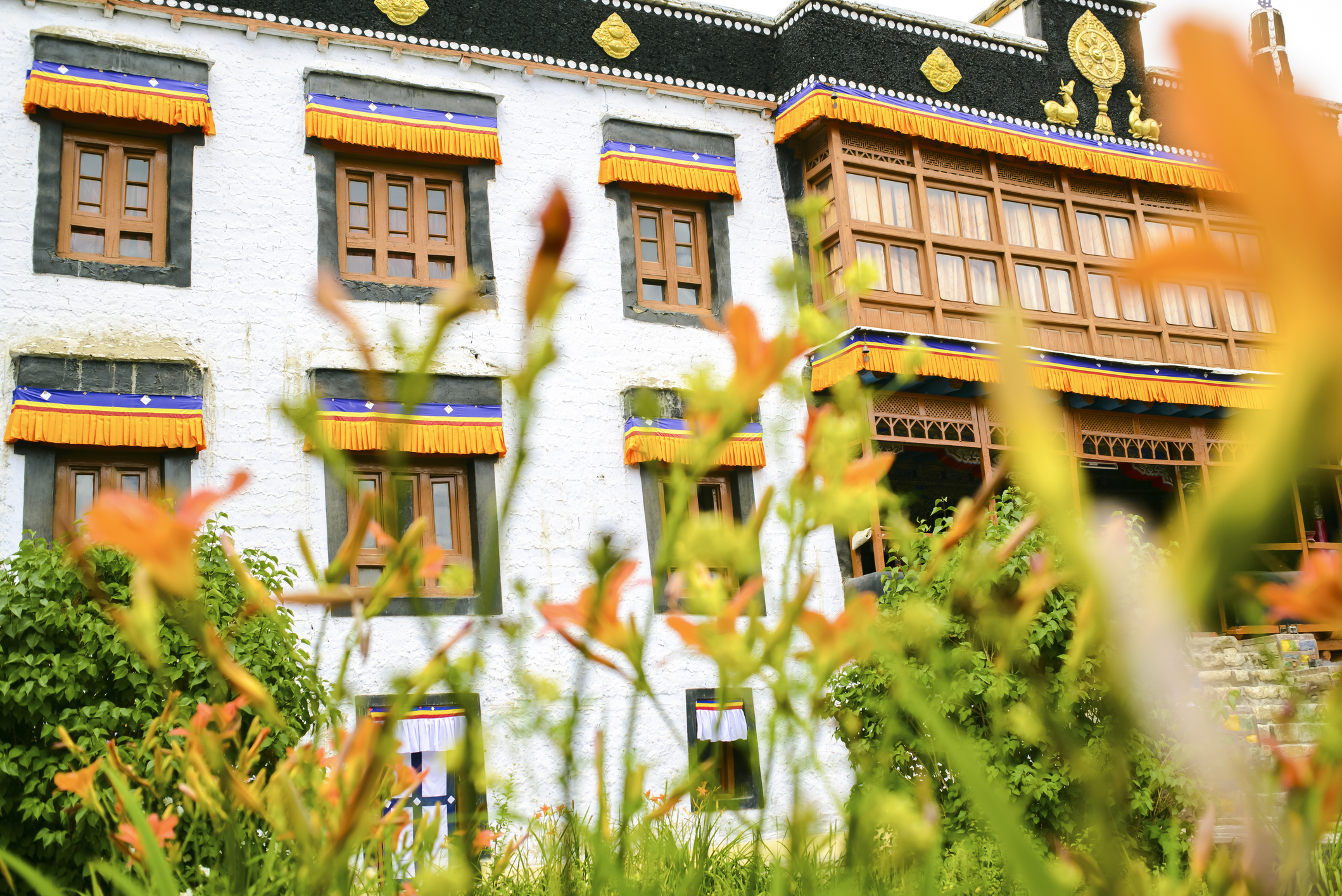 Visit the Sankar Gompa Buddhist monastery