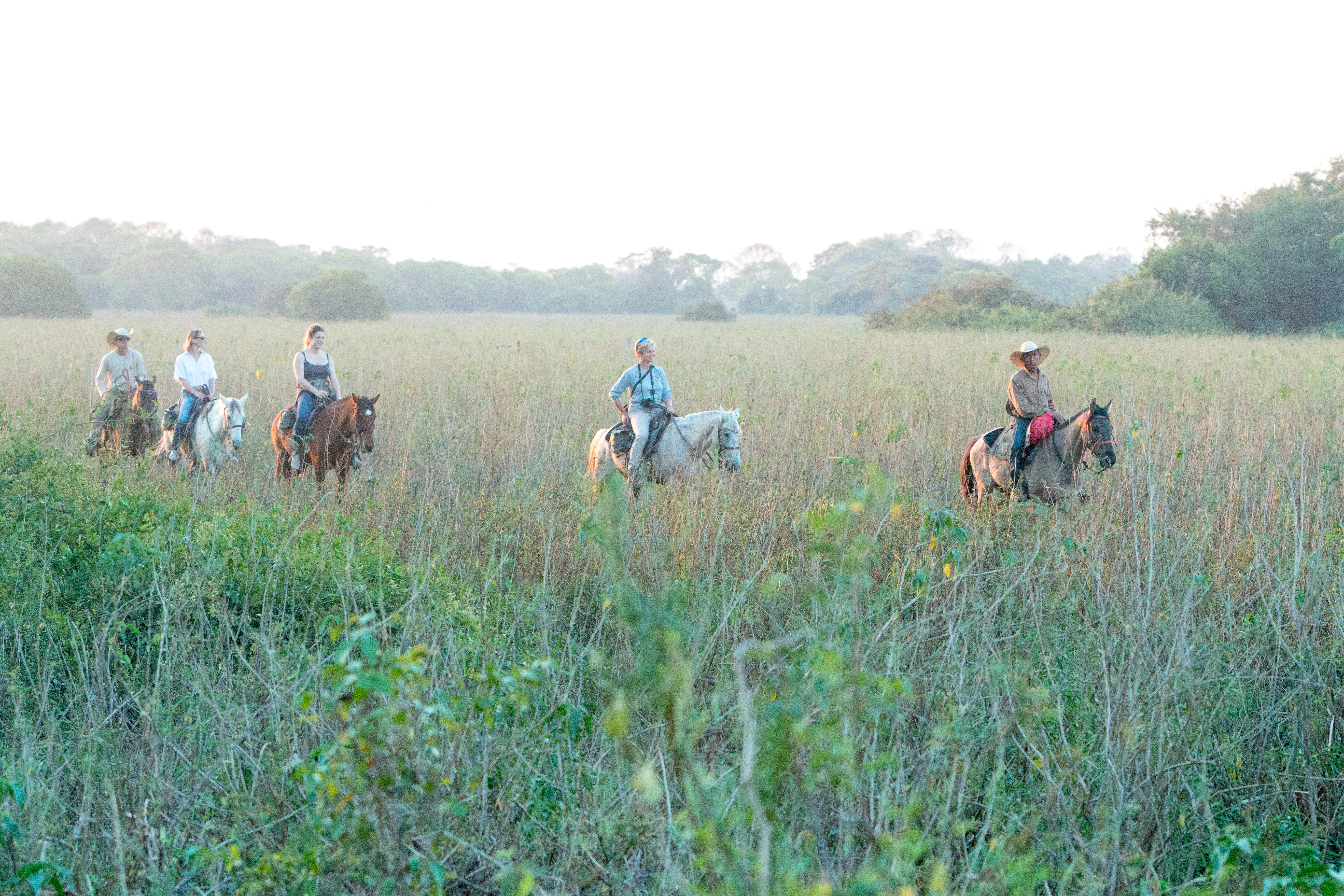 Explore Northern Pantanal on horseback