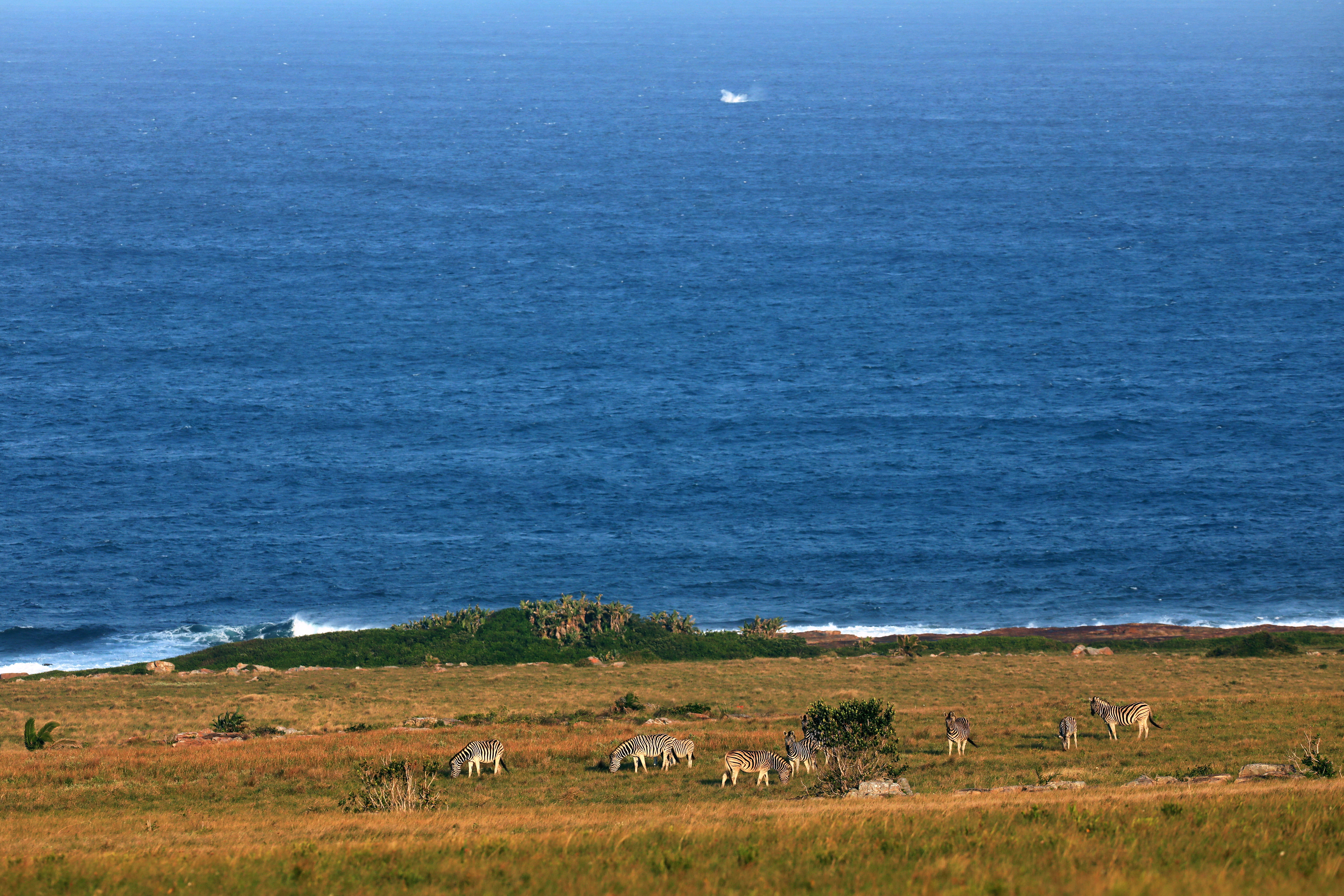 Enjoy a scenic nature drive at GweGwe