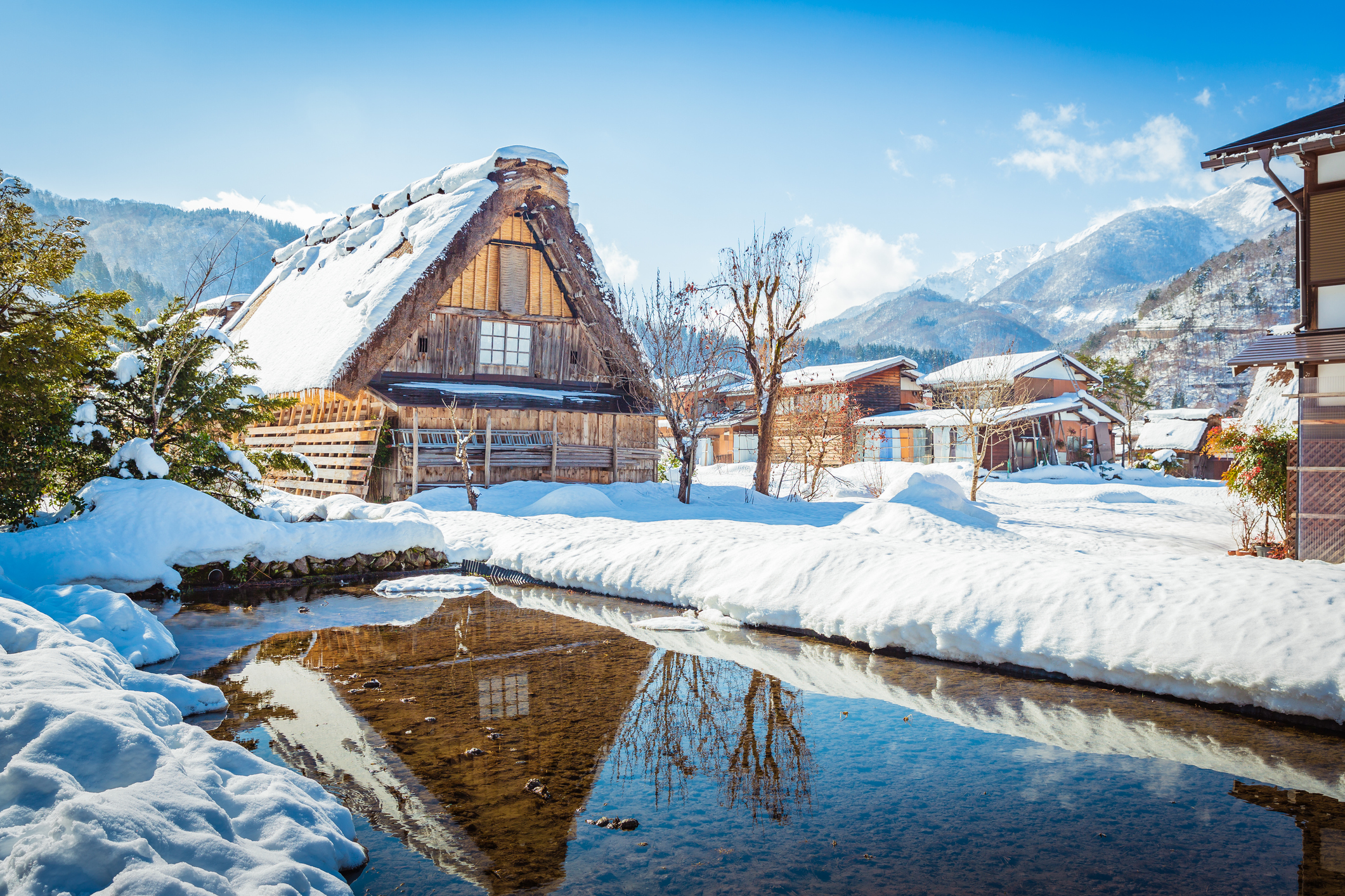 See the traditional gassho-zukuri farmhouses