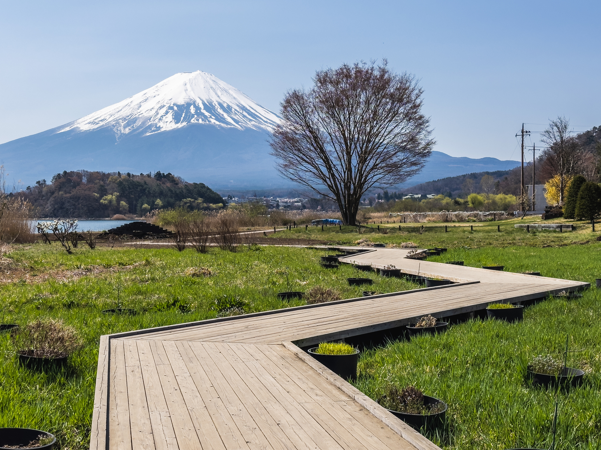 Take scenic hikes with views of Mount Fuji