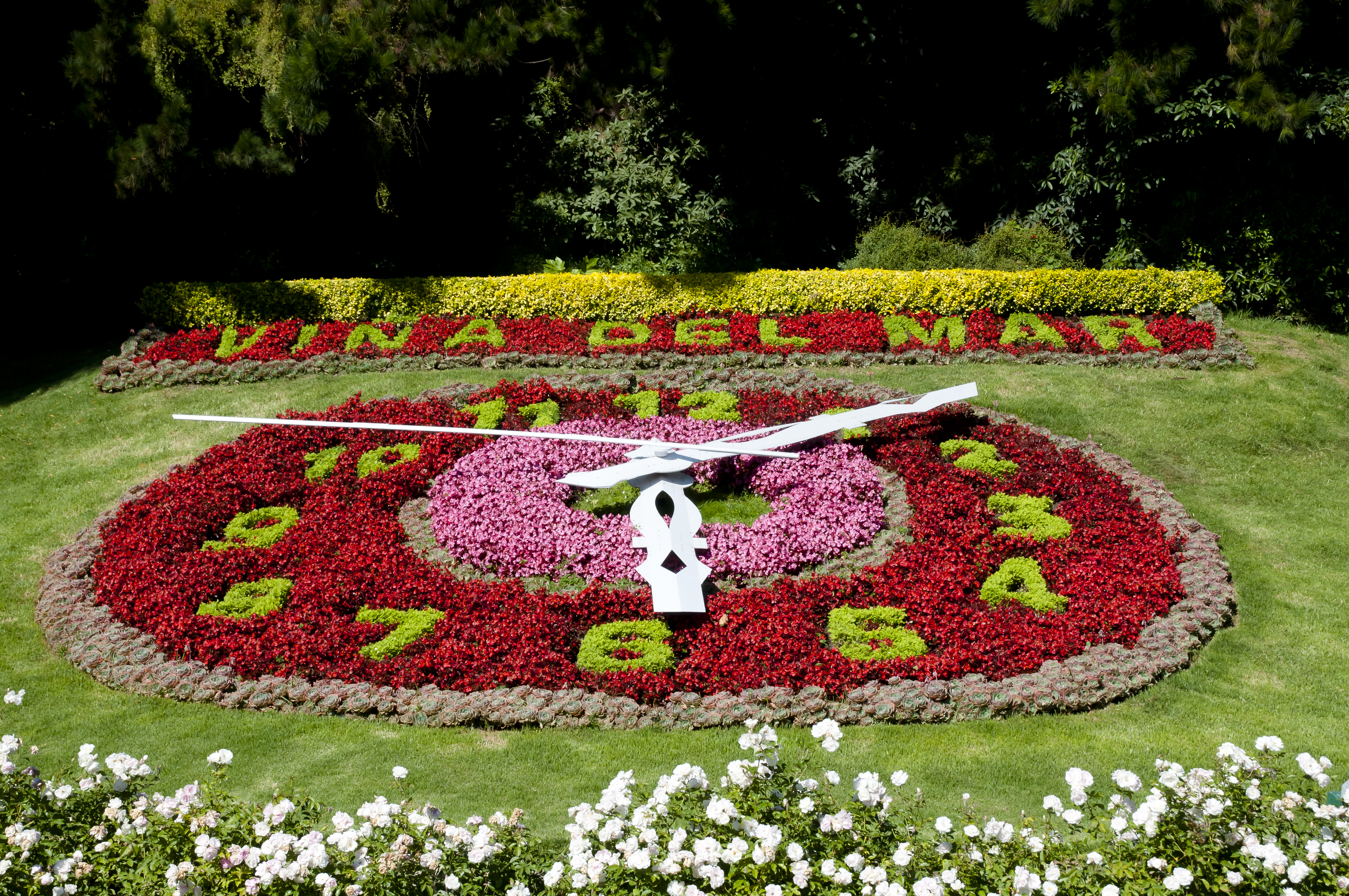 Visit the flower clock in Viña del Mar