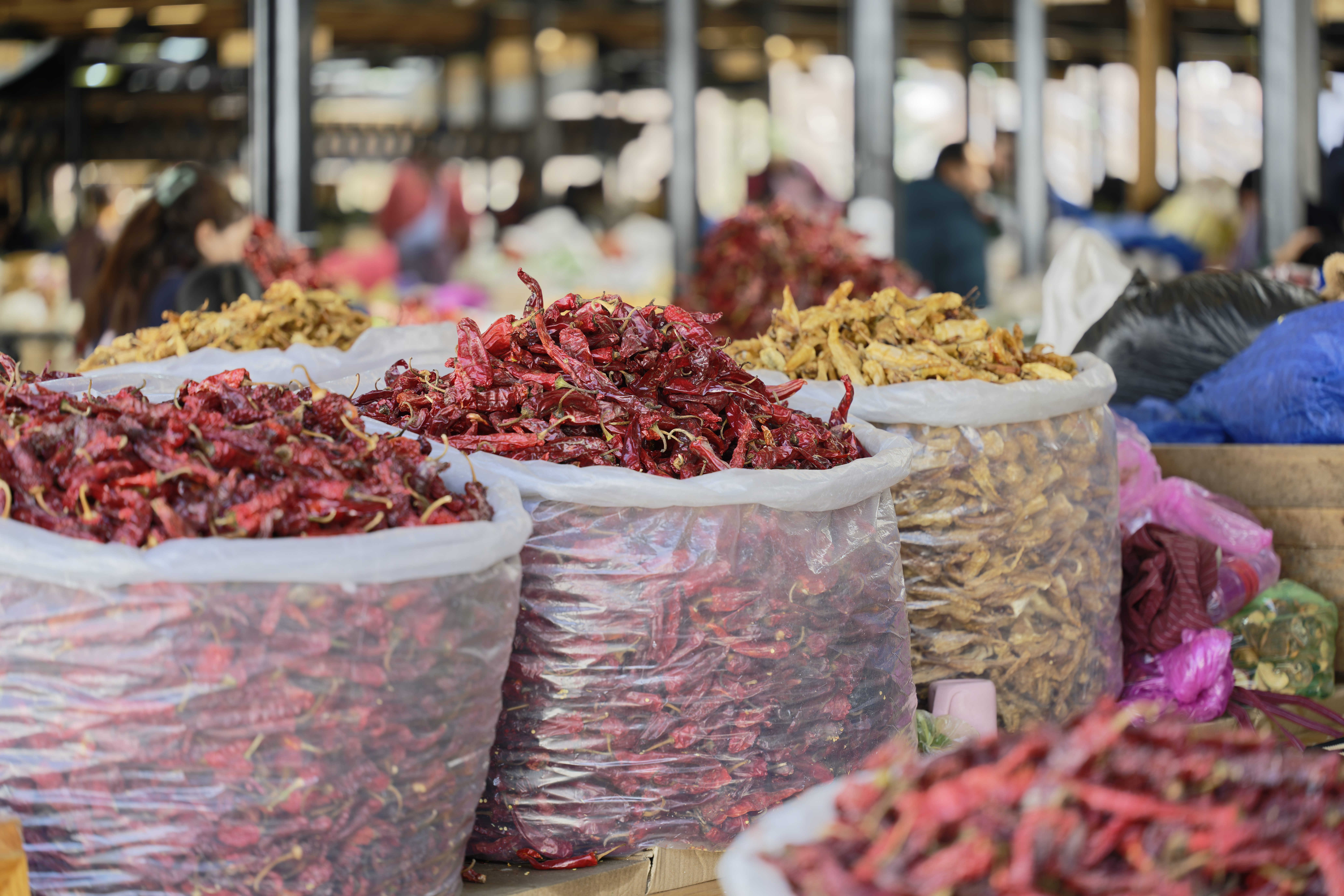 Explore the Kaja Throm market