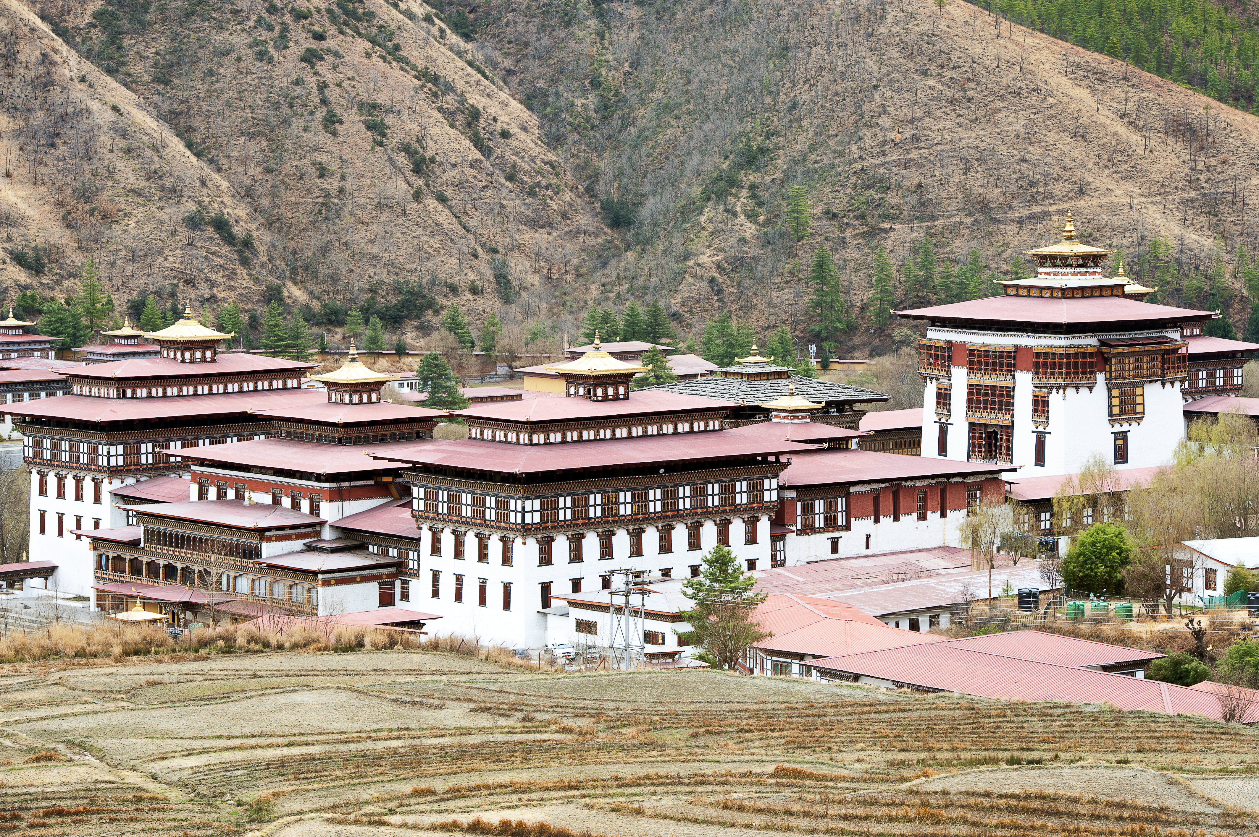 Visit Trashichhoedzong fortress