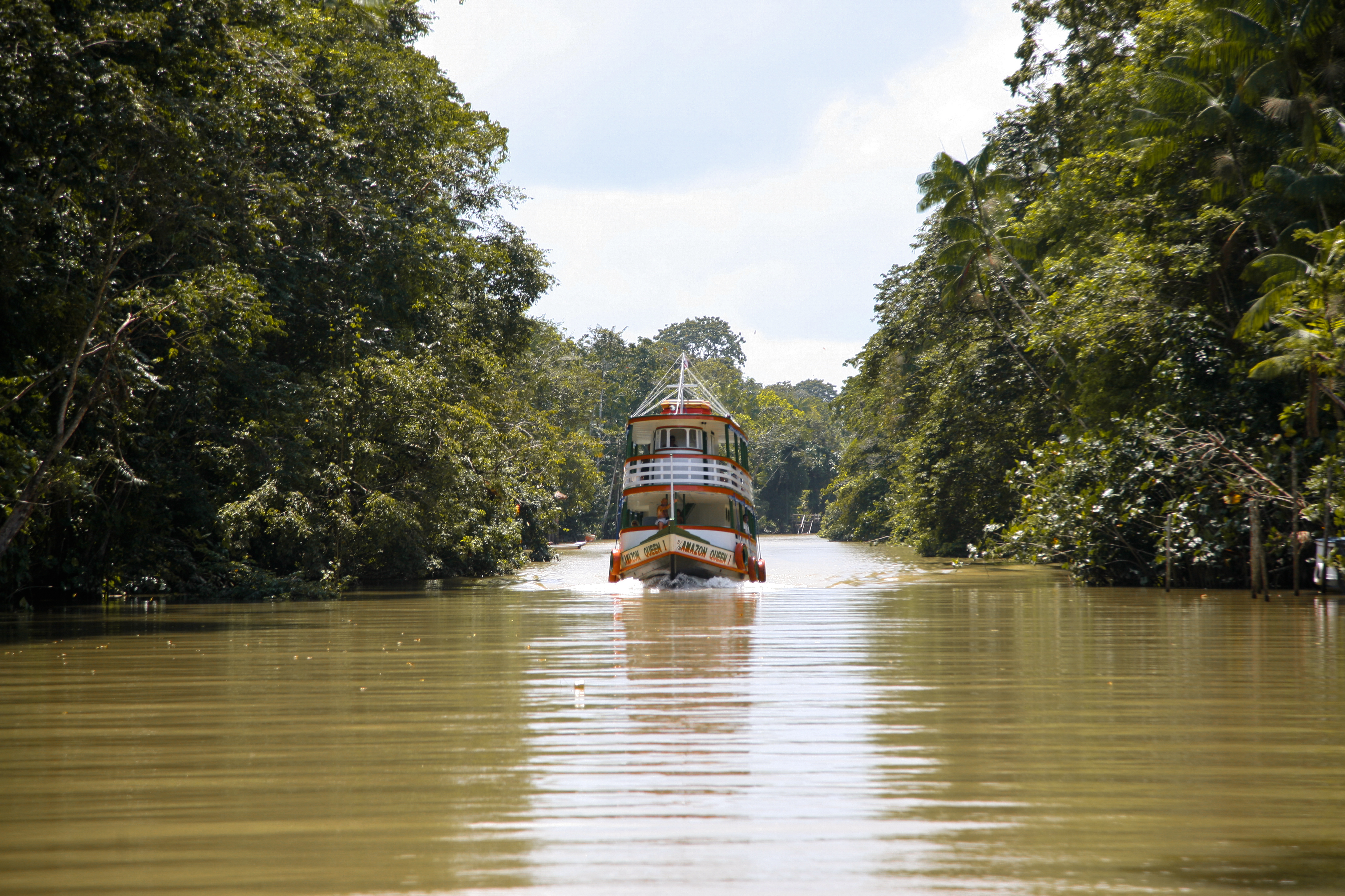 Go on a boating safari in the Amazonas