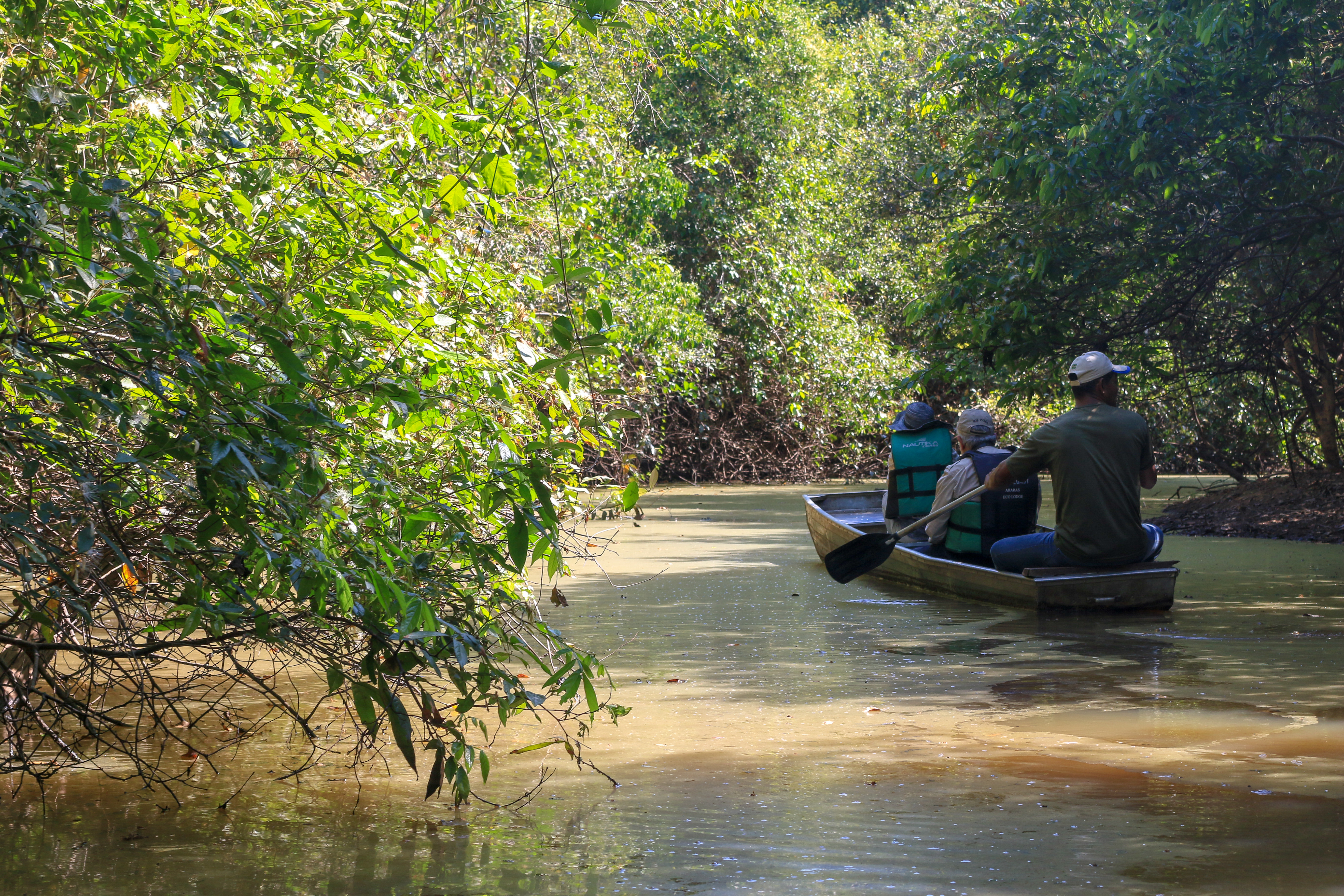 Explore Mato Grosso on a canoe safari
