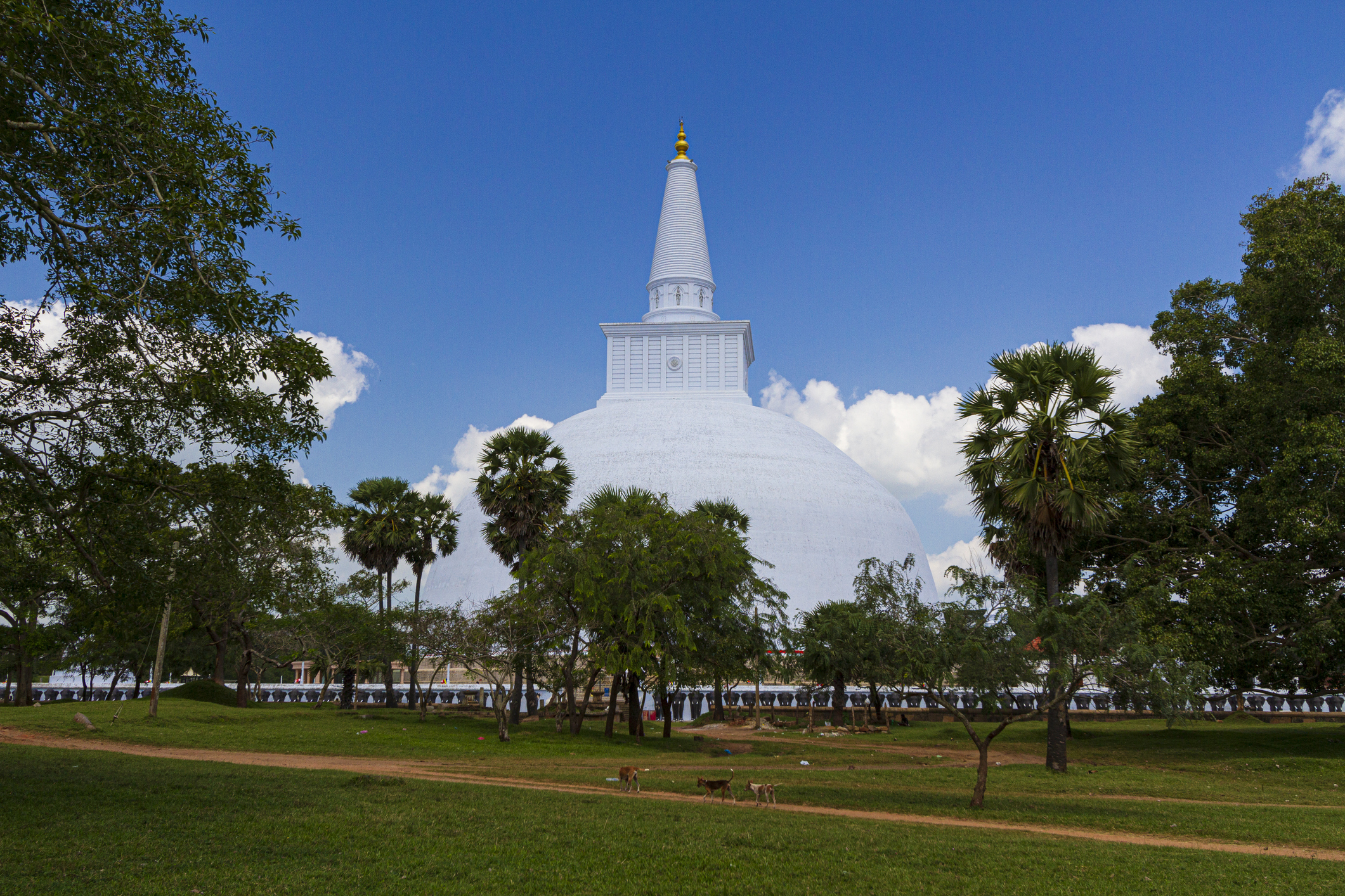 Visit Anuradhapura