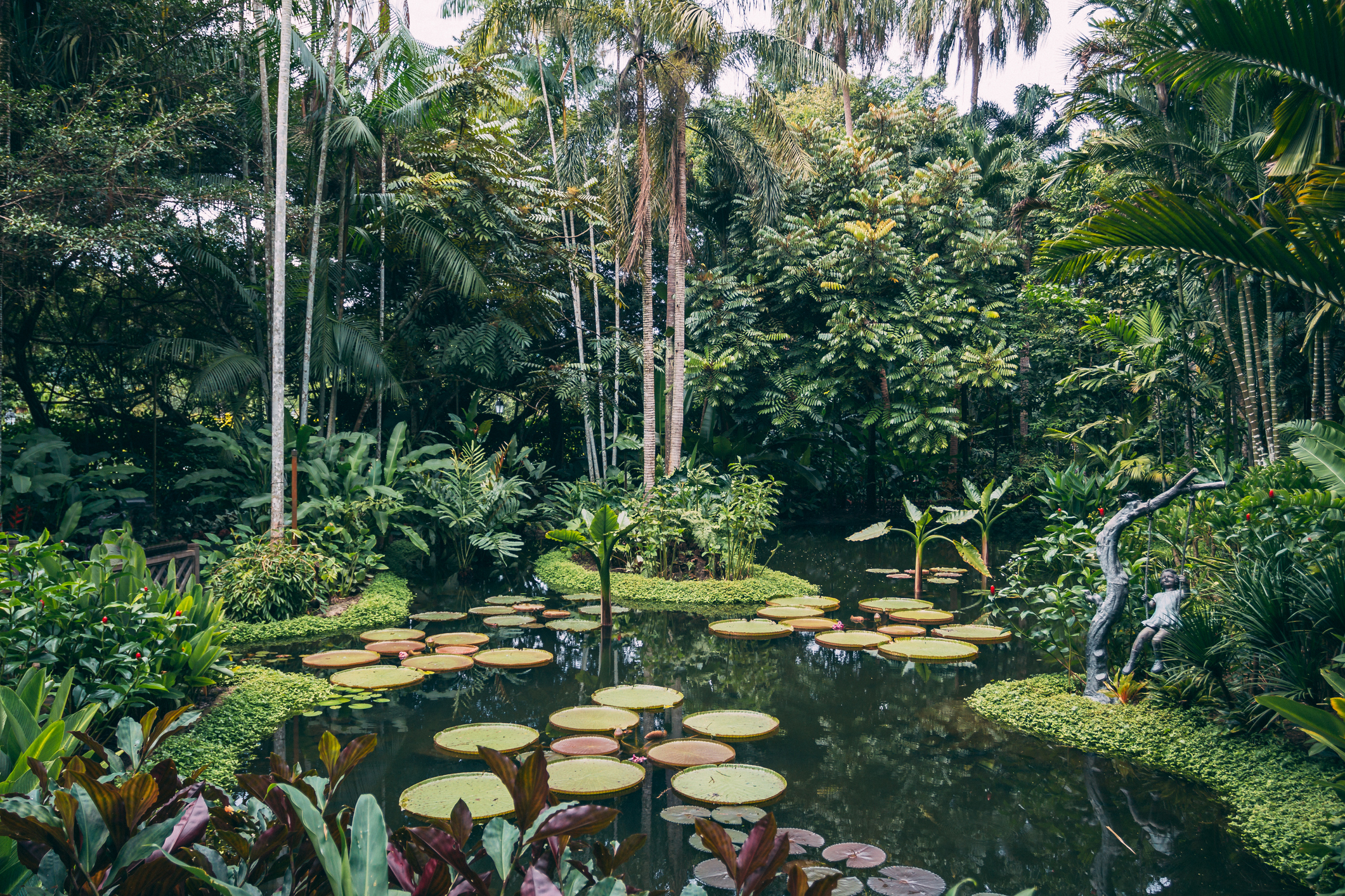 Visit Singapore's botanical gardens