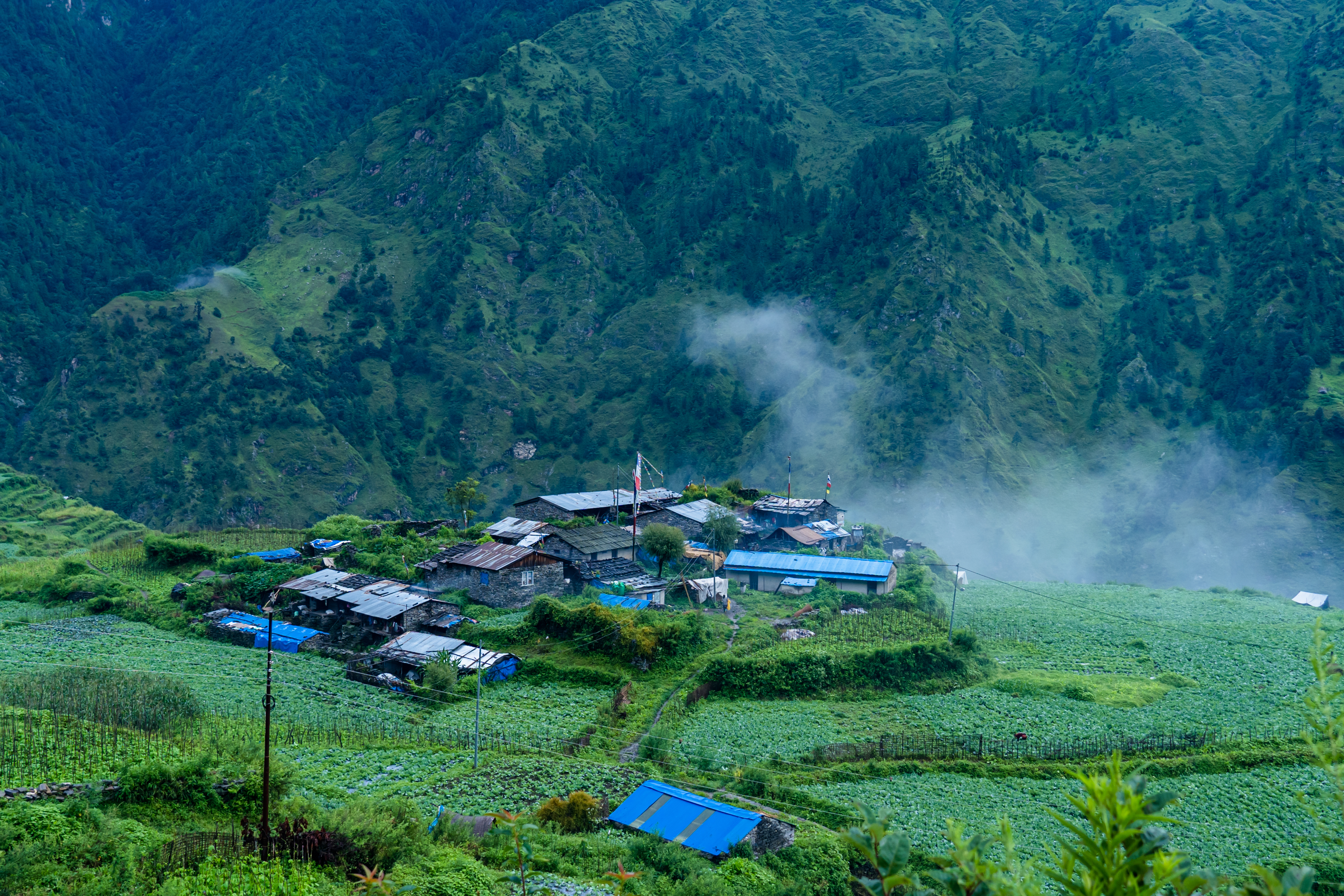 Visit the Tamang villages in Langtang
