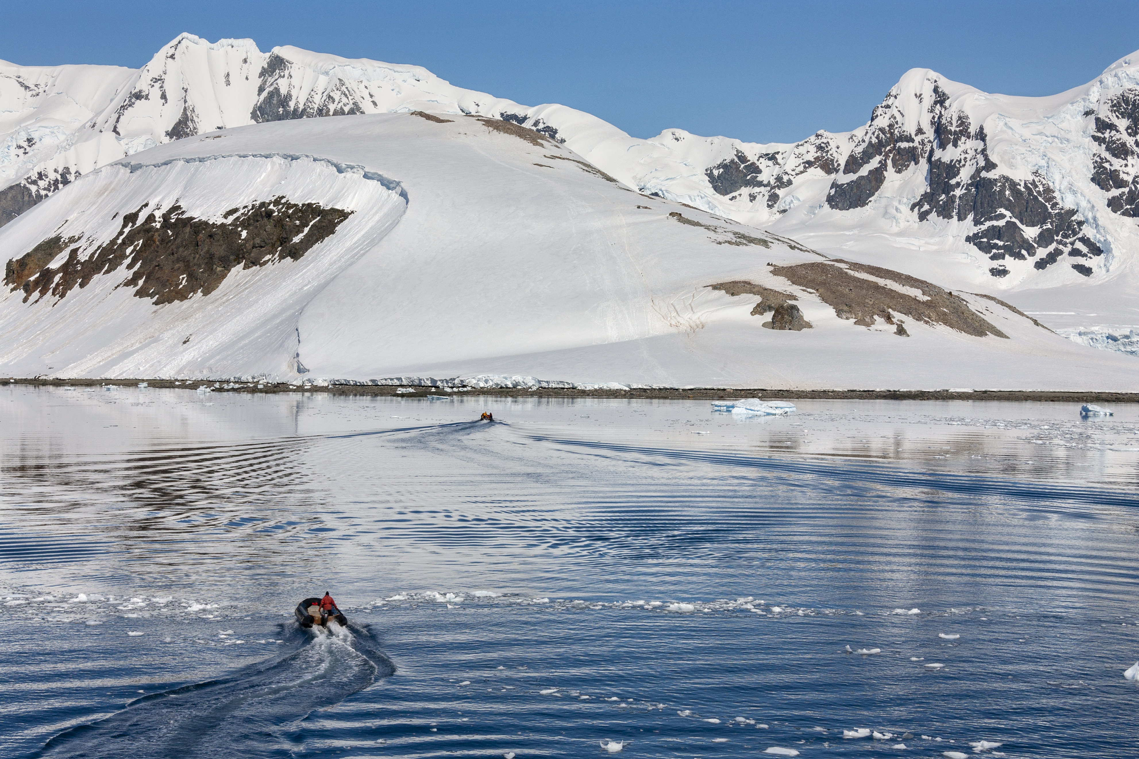 Visit the Gentoo penguin colony on Danco Island