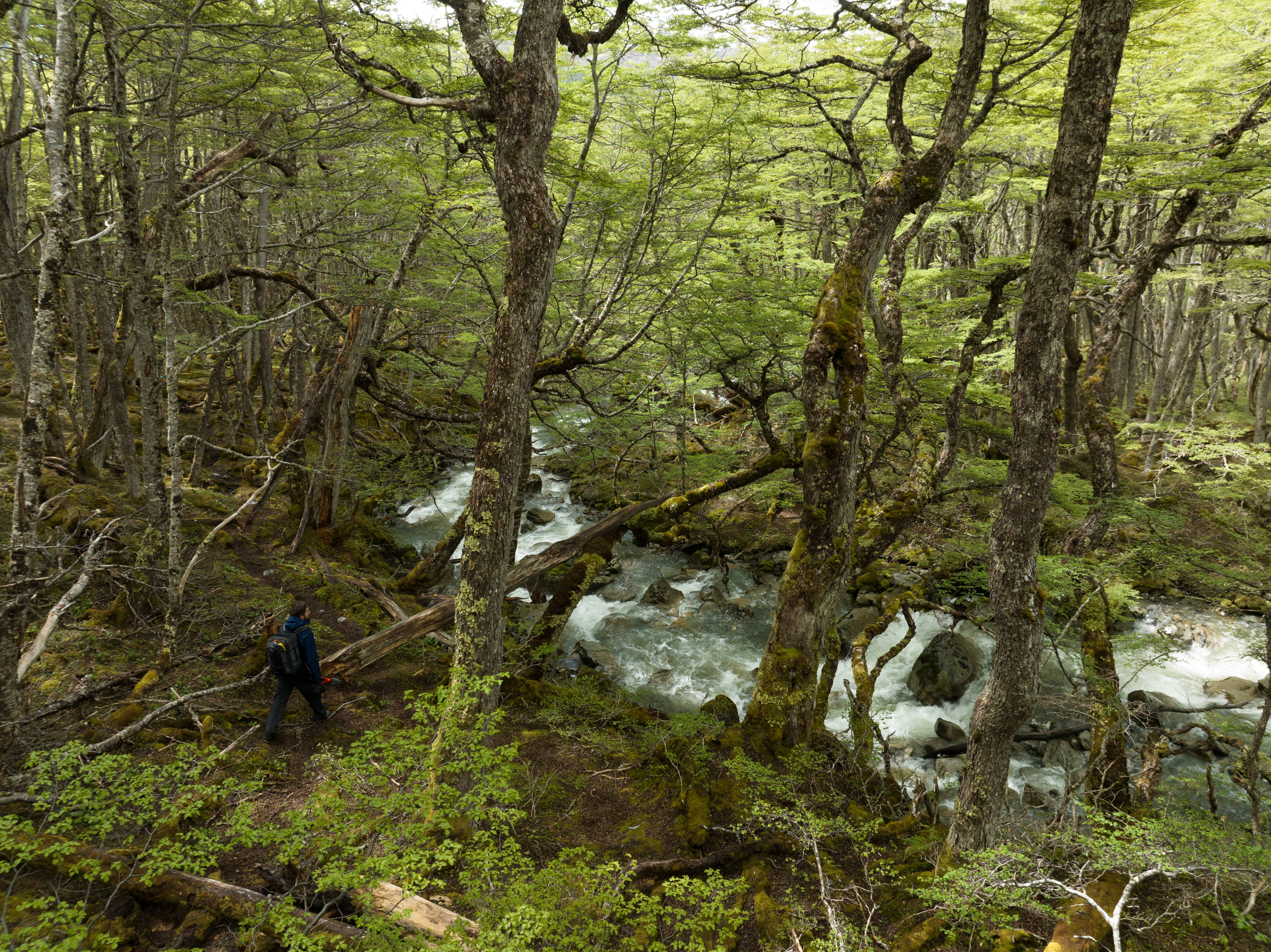 Discover Yendegaia National Park