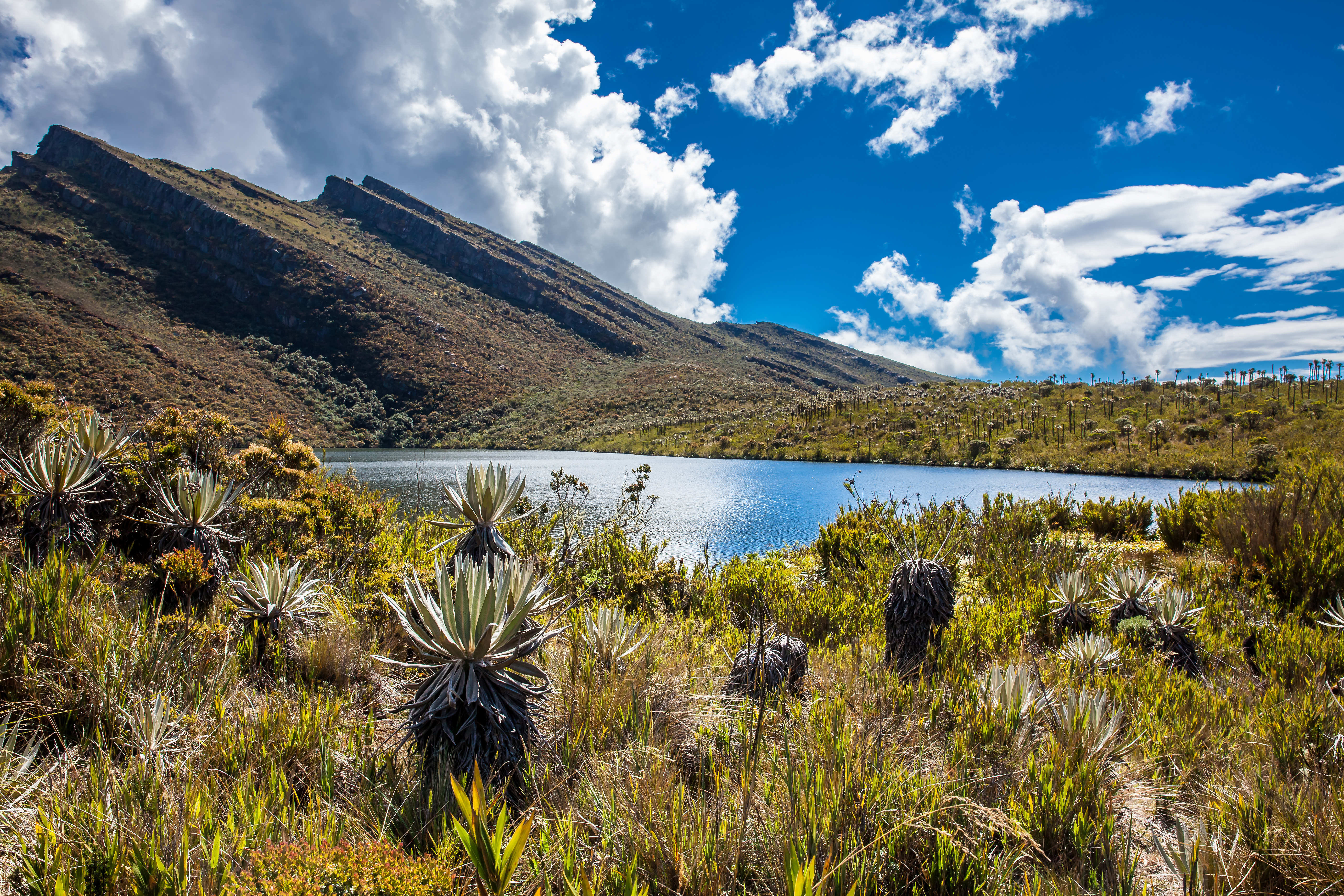 Explore Matarredonda's serene paramo ecosystem