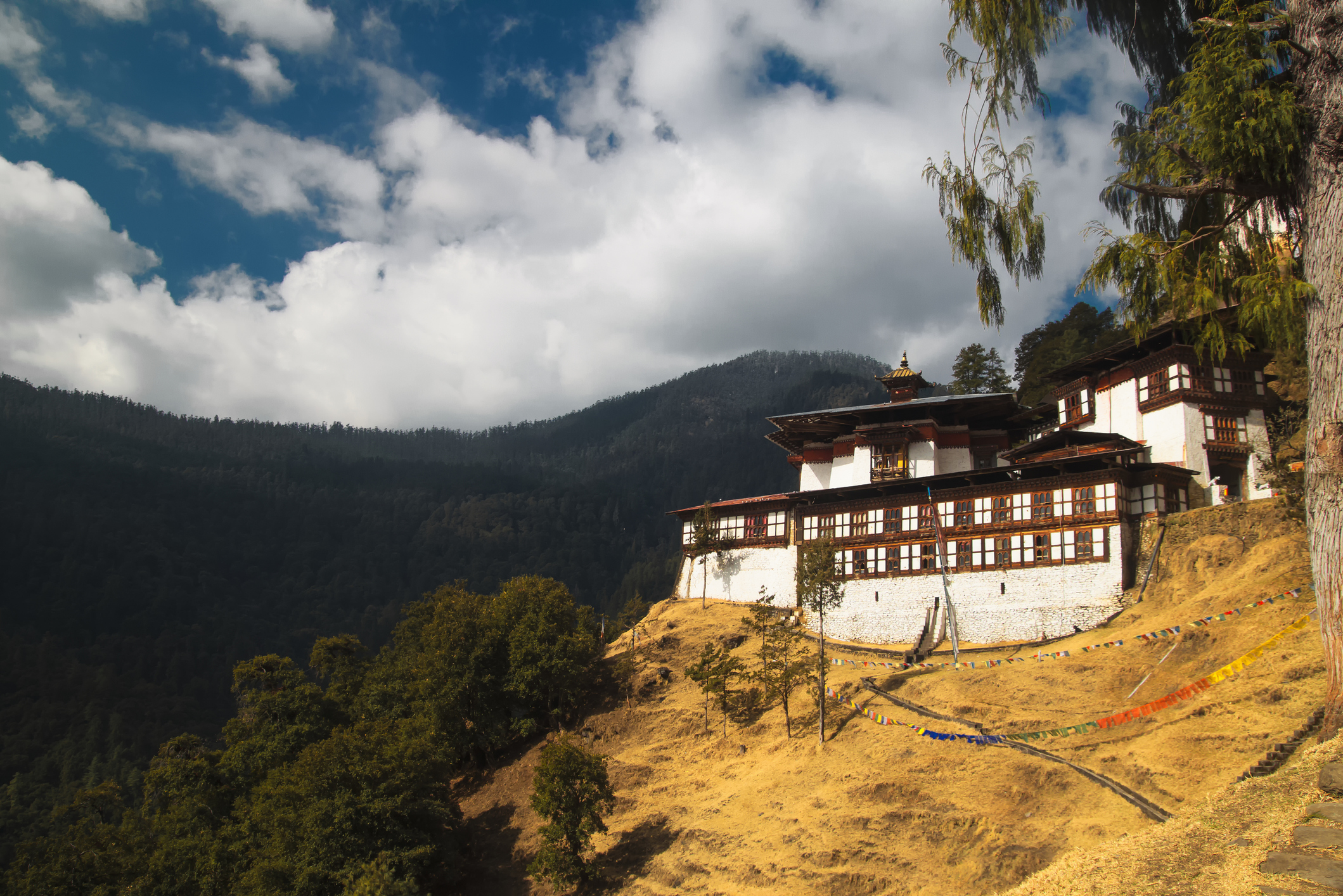 Paro To Bumdra Camp Trek