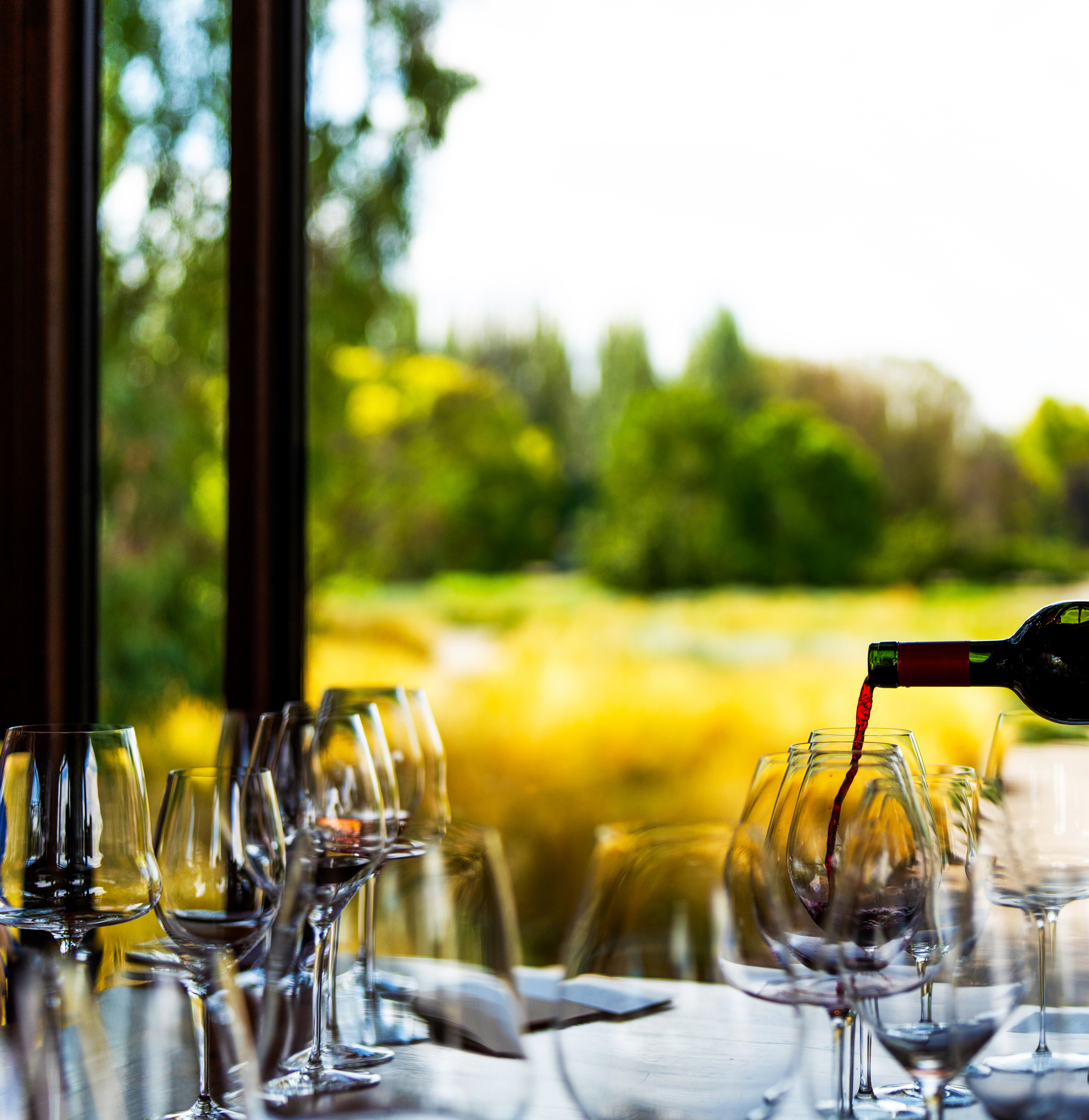 Taste the variety of Argentinian wines with a local connoisseur 