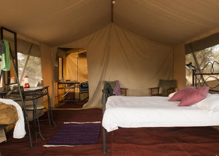 View from inside tent 2