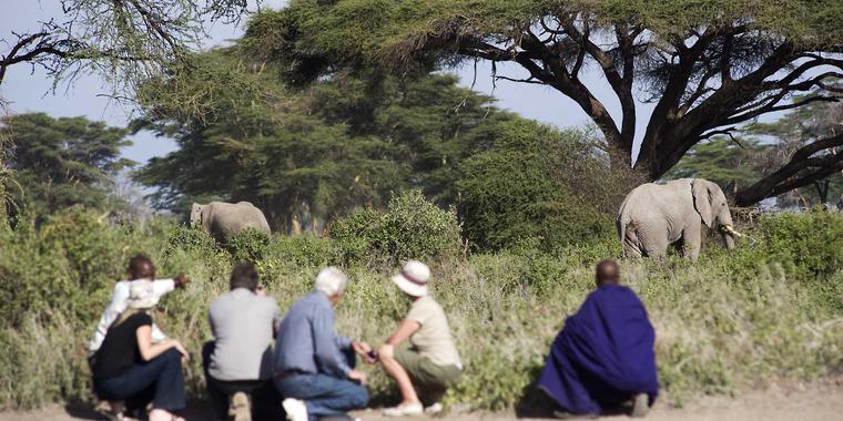 Walk escorted by Masais