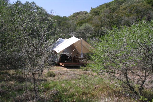 You can't get closer to natue than this