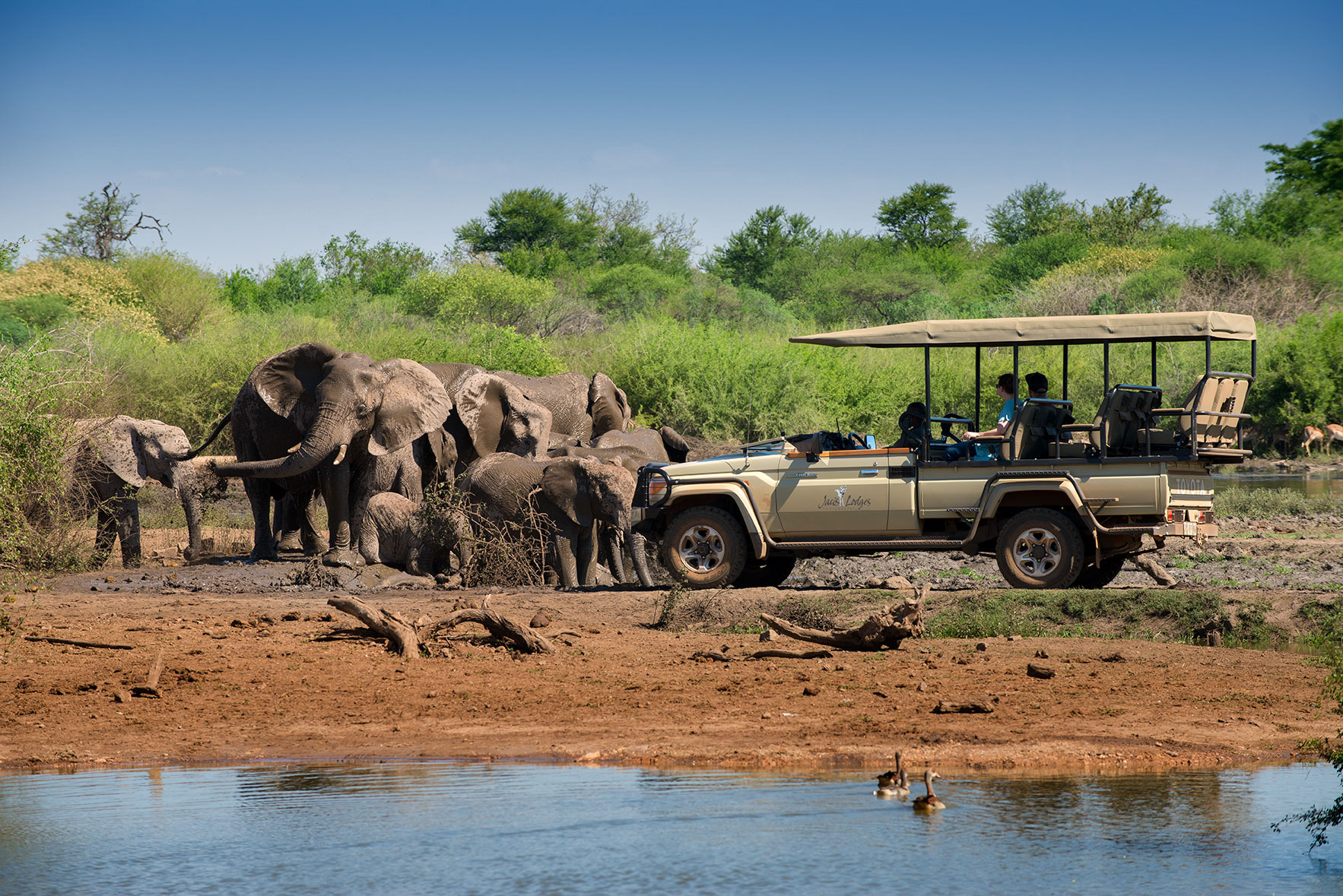 Into the forests we go