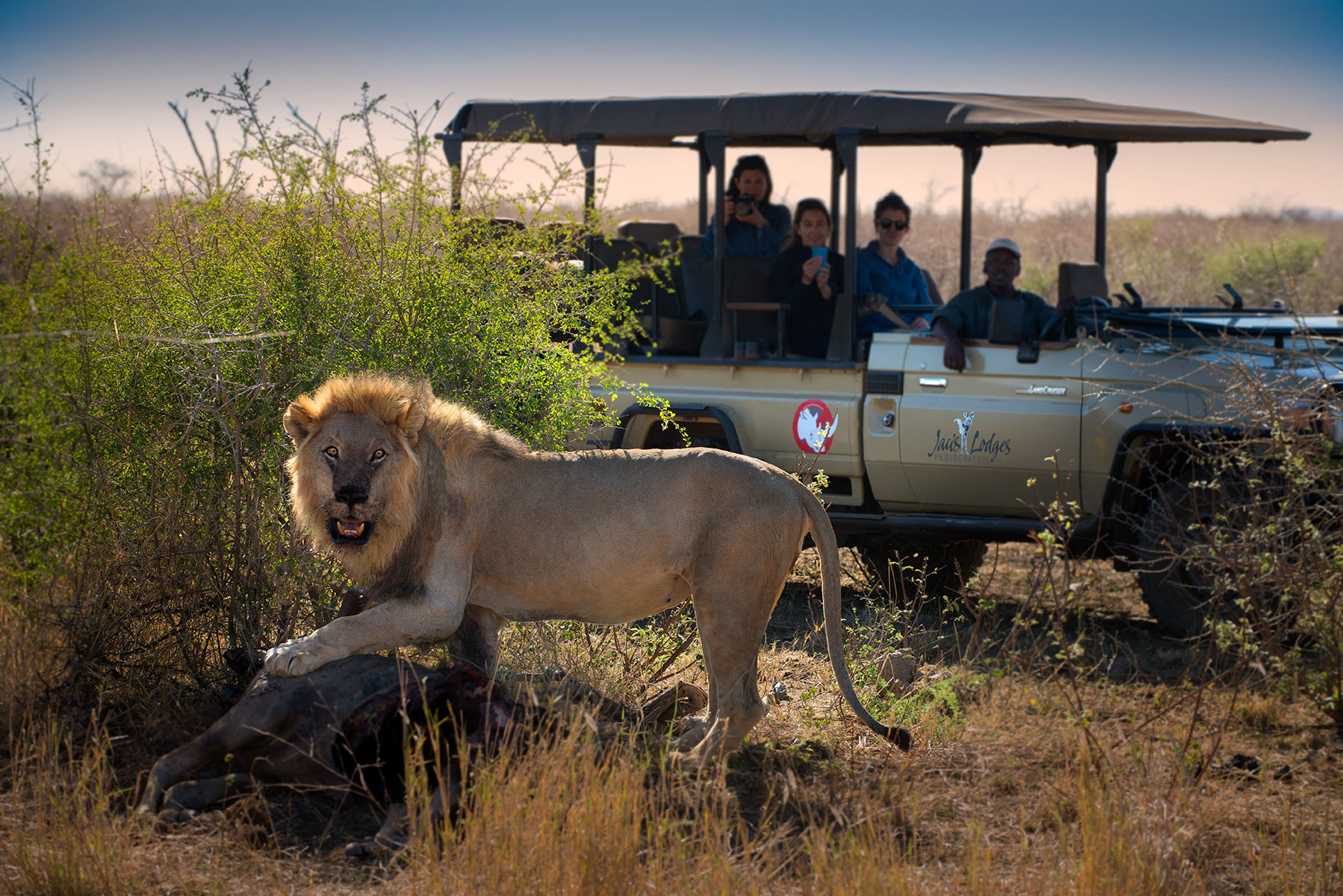 Gather around for outdoor dining 