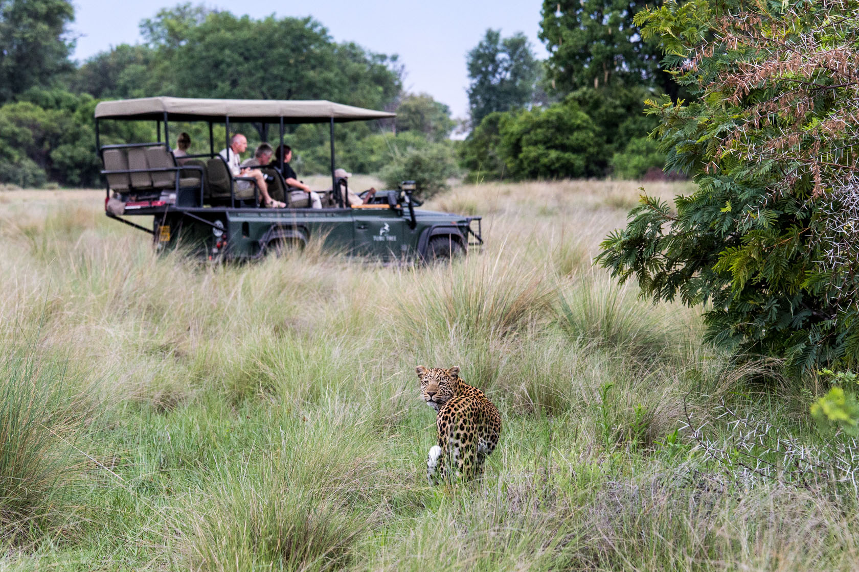 Game Drive Experience