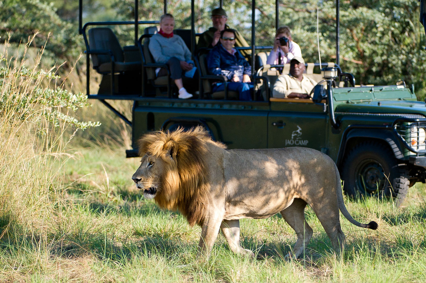 Game Drive