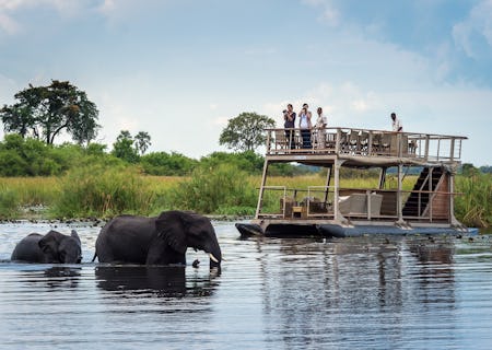 Elephant crossing the Linyanti
