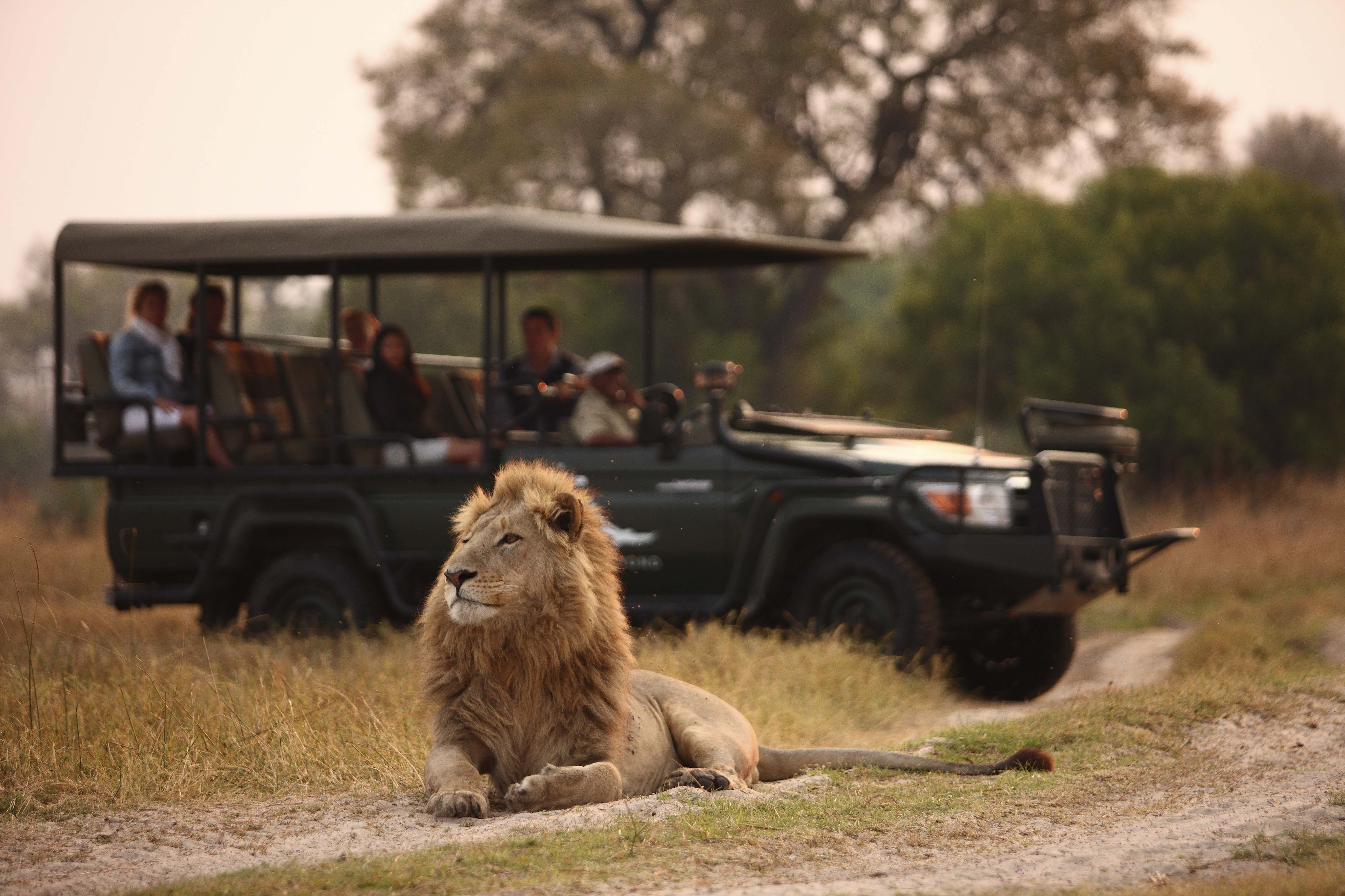 Game Drive
