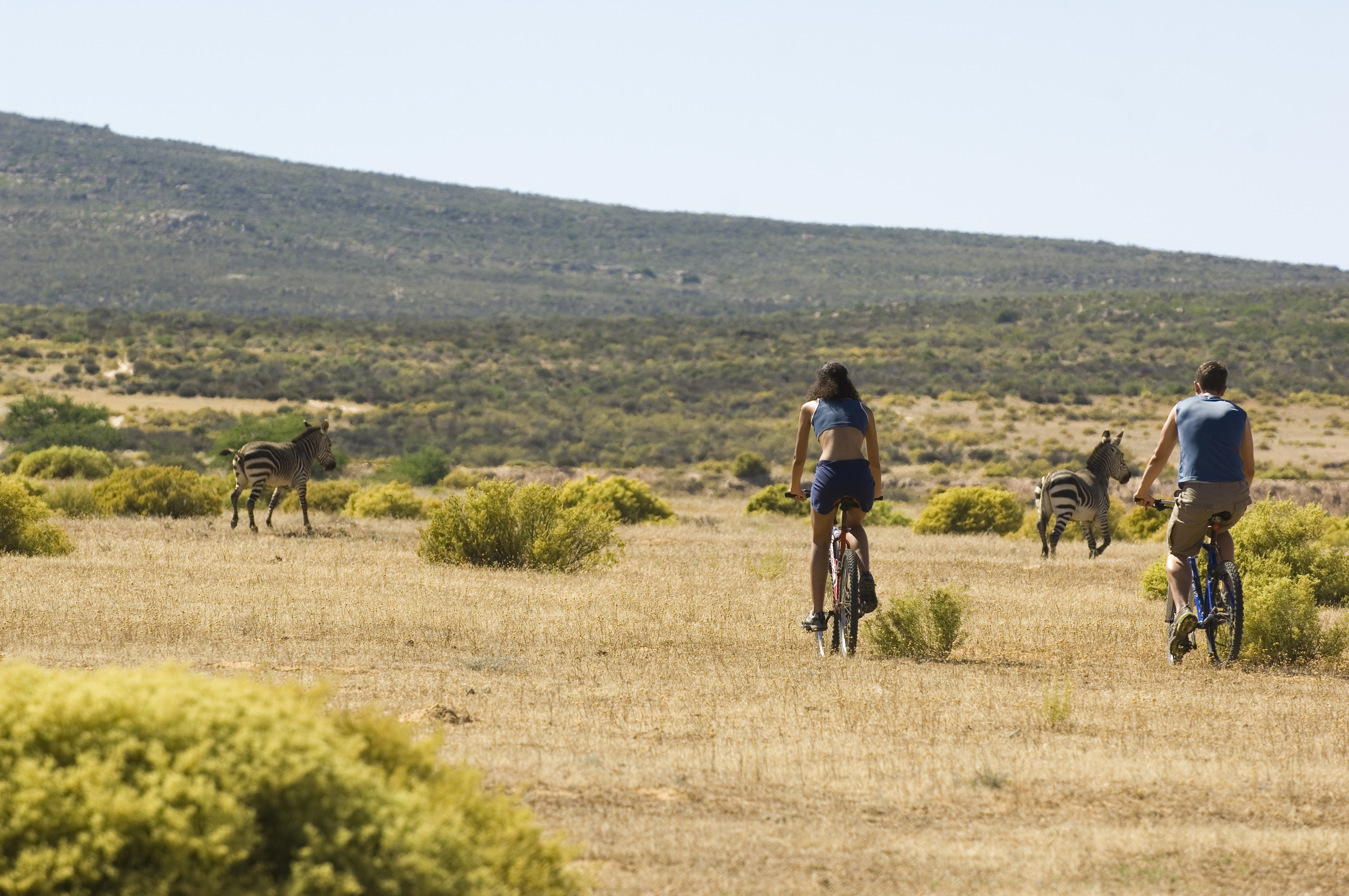 Mountain biking in the Reserve