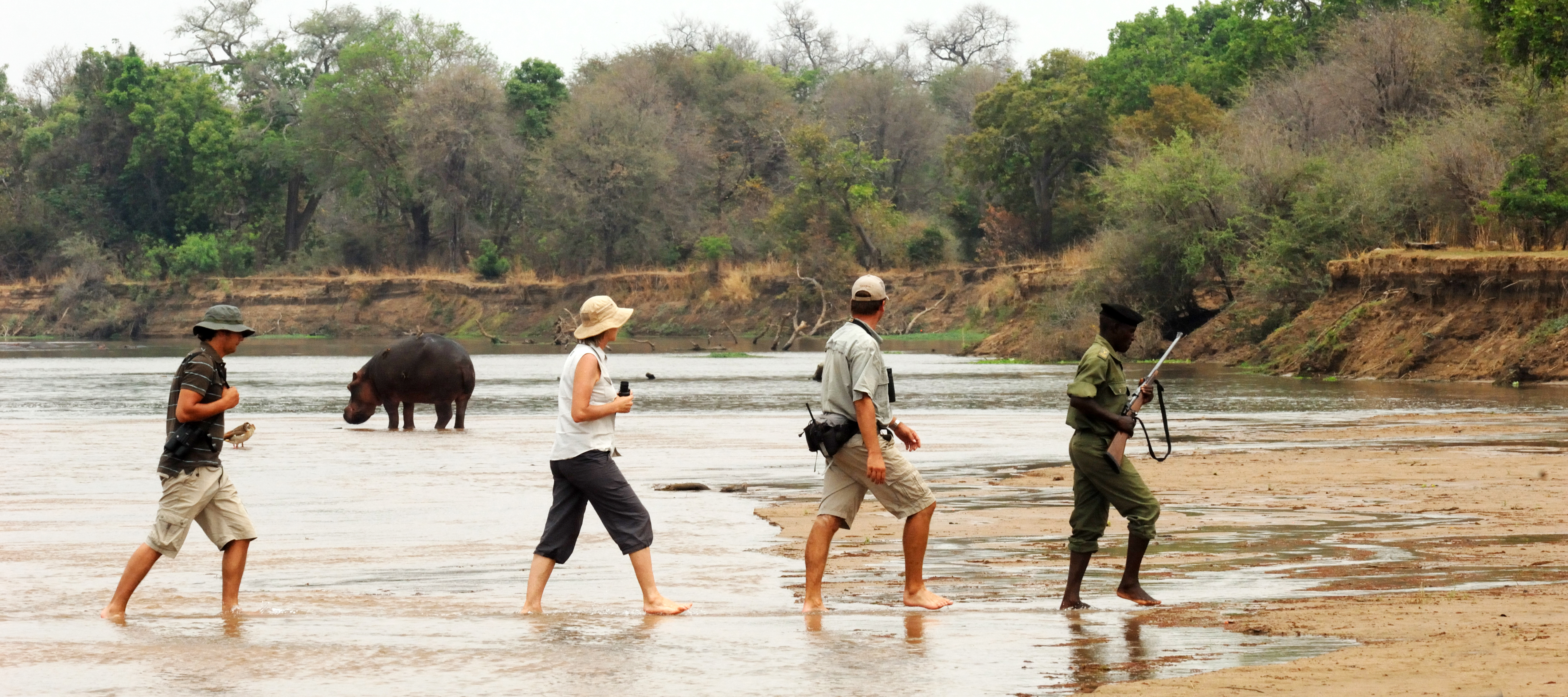 Walking Safaris