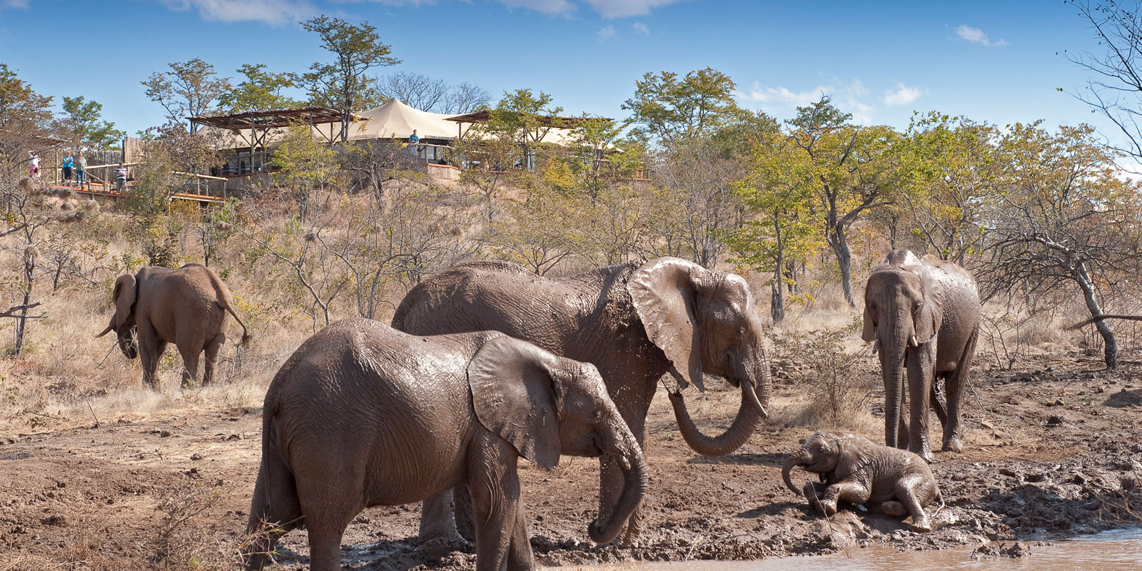 The Elephant Camp Main Lodge Exterior as viewed from the waterhole below camp