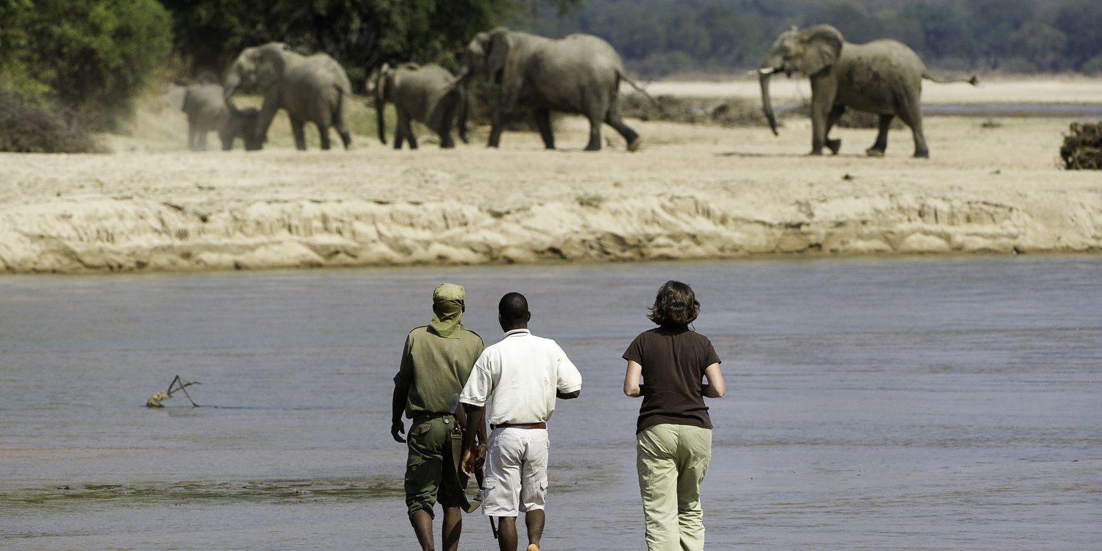 Fantastic walking safaris