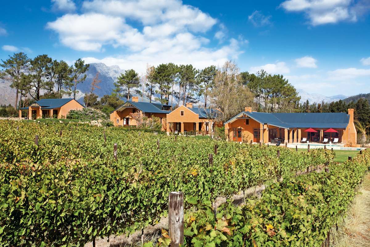 Vineyards with the suites in the background