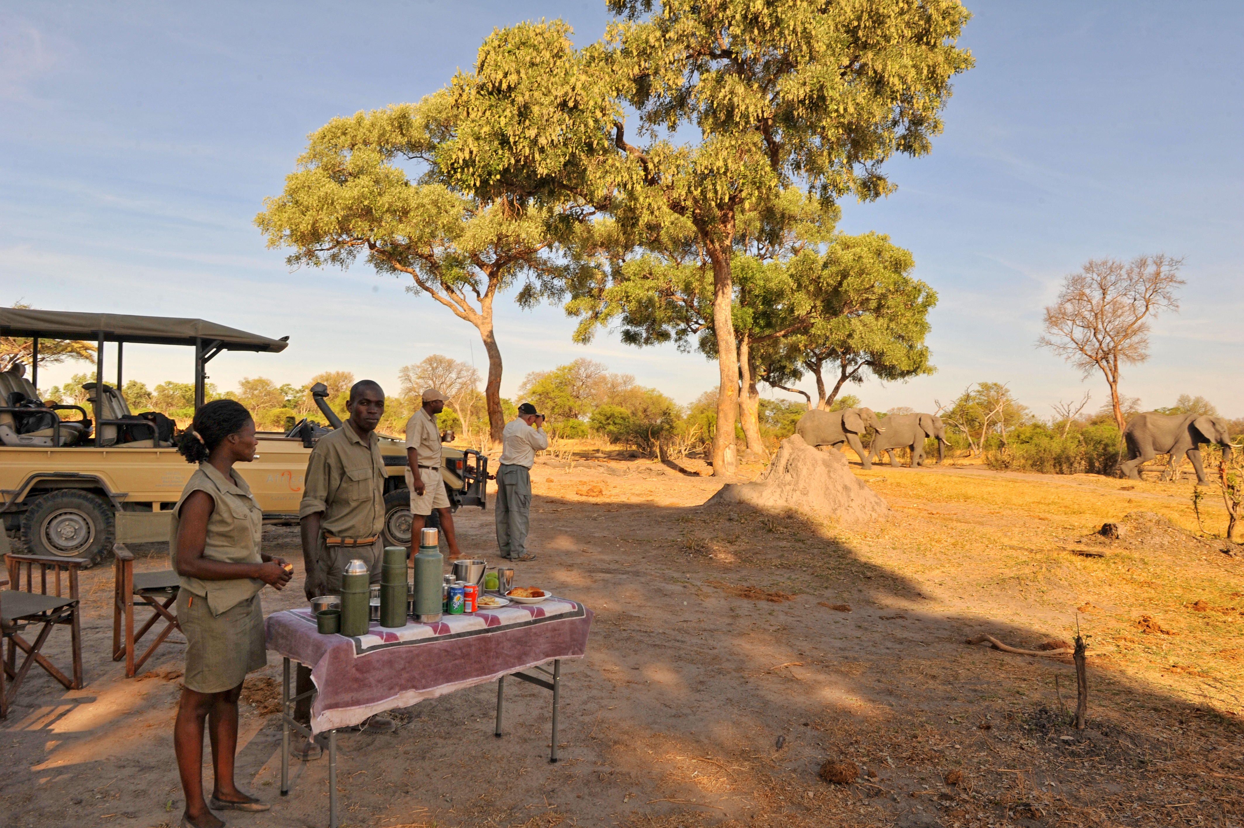 Tea and Coffee break during the morning game drive at Khwai Tented Camp