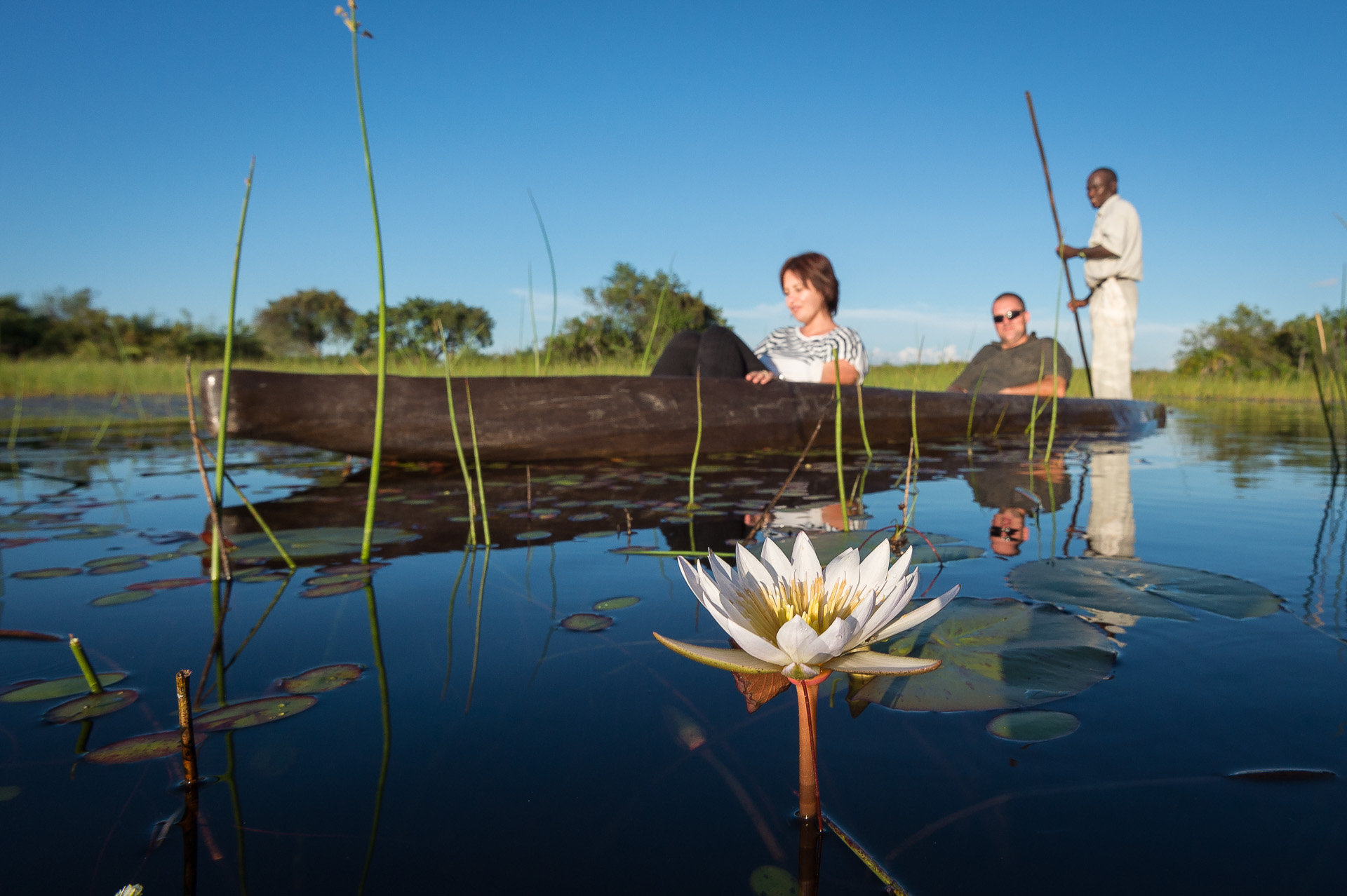 Mekoro boating along the clear channels