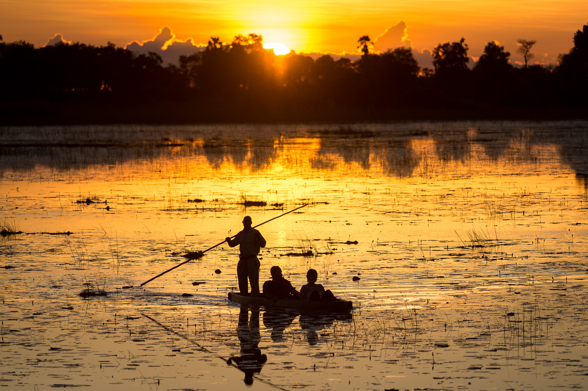 Serene mekoro rides at sunset 