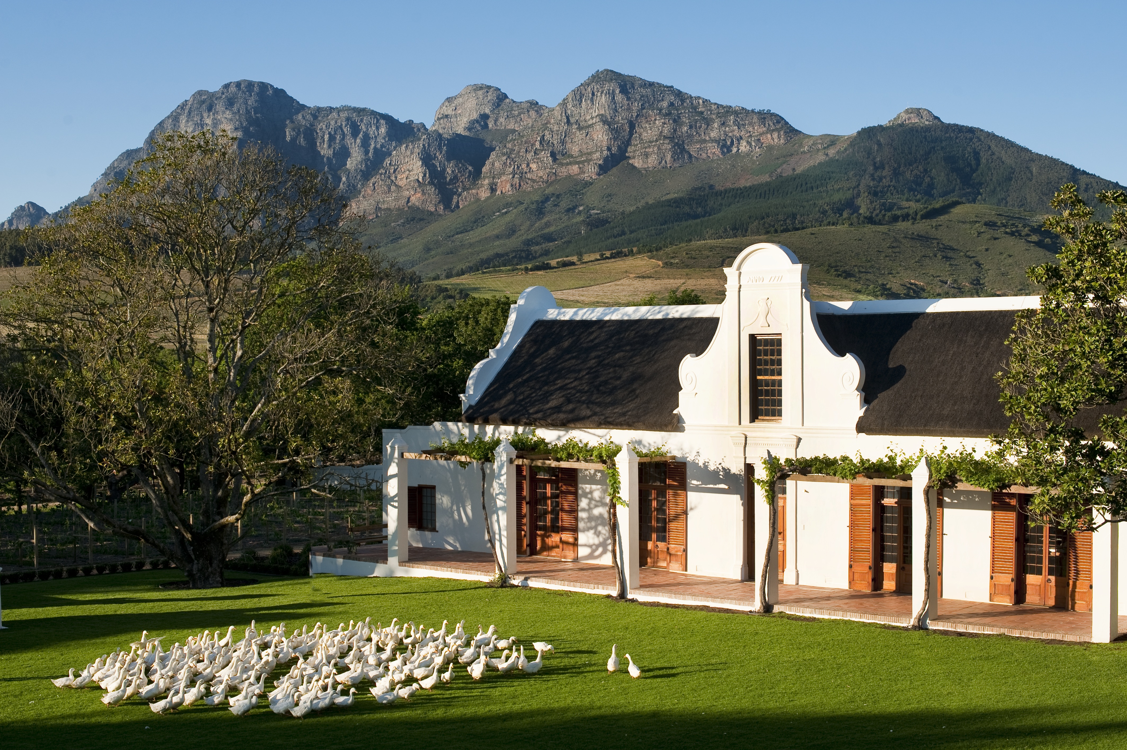 1777 Residence on the working Babylonstoren farm.