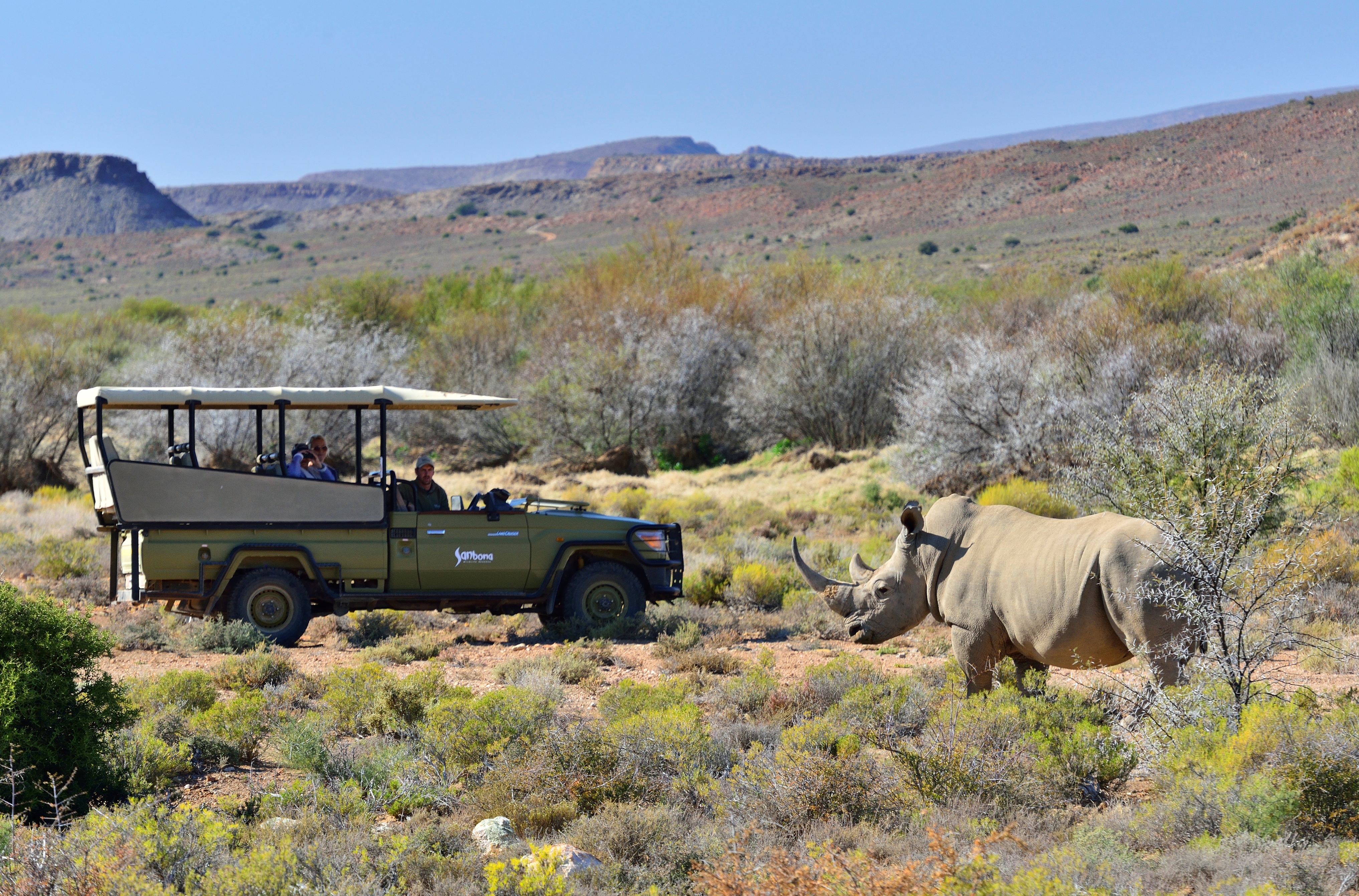 Game drives