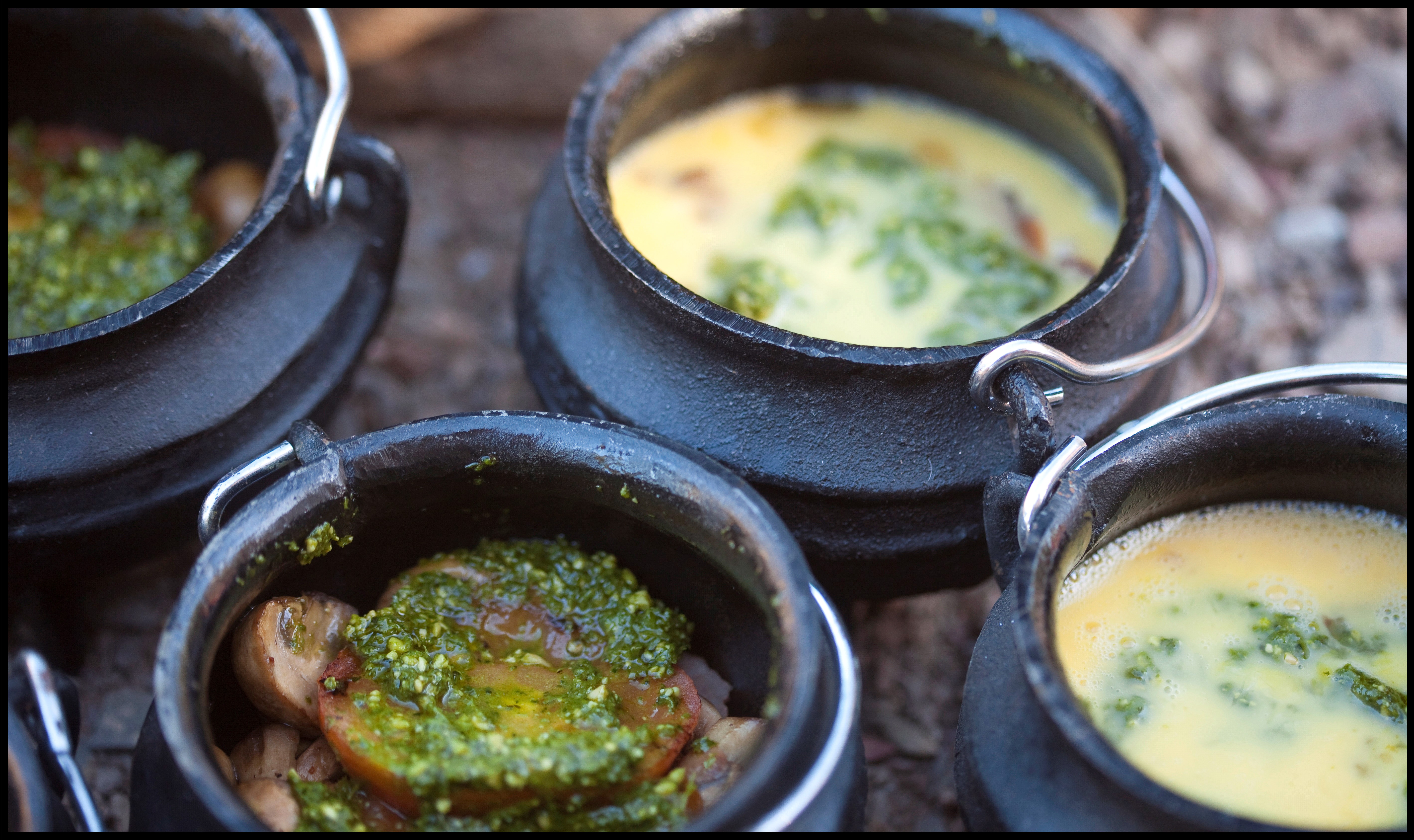 Sanbona Explorer Experiences