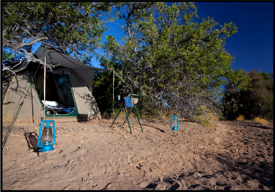 Sanbona Explorer Experiences