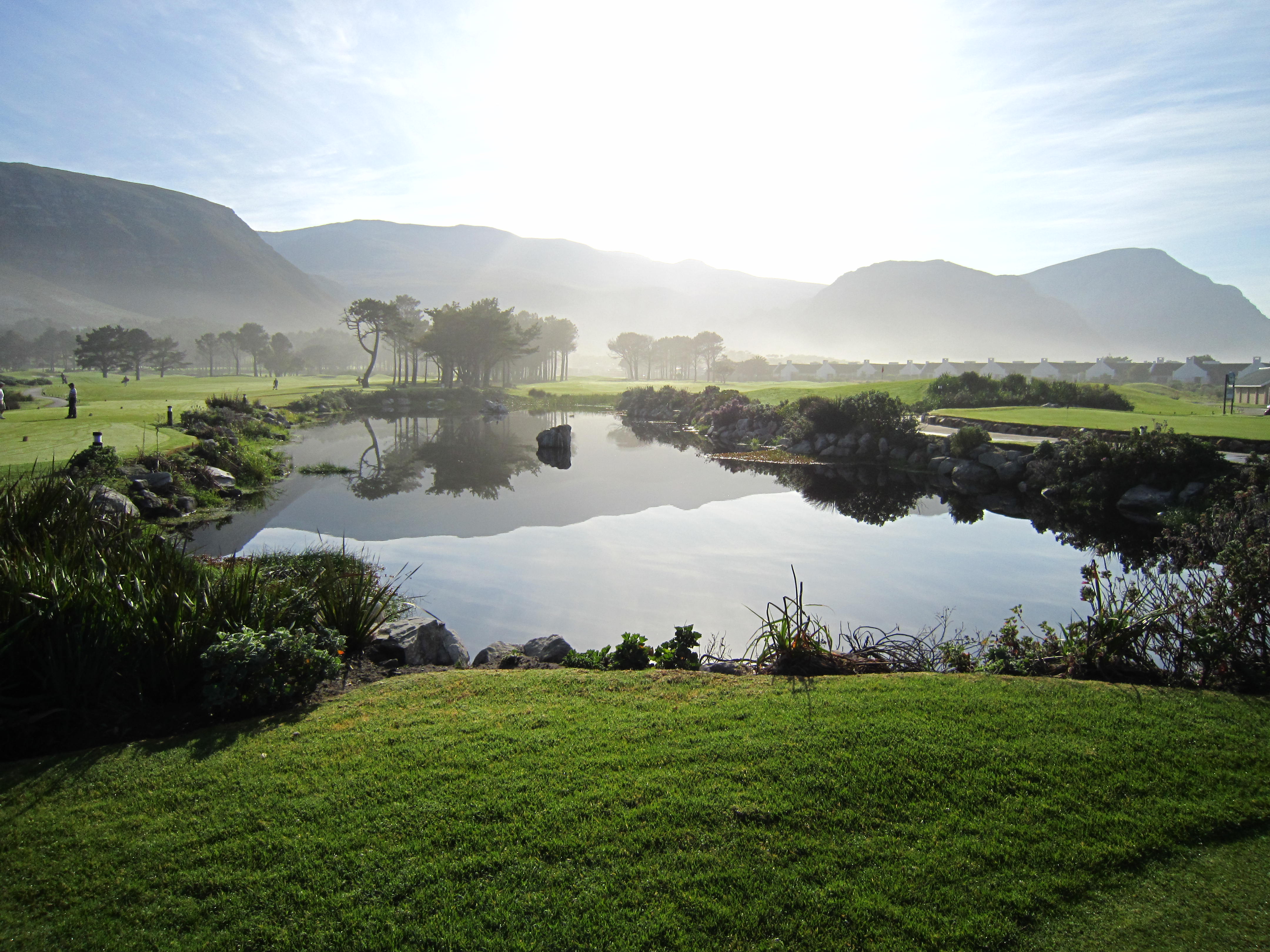 Hermanus Golf