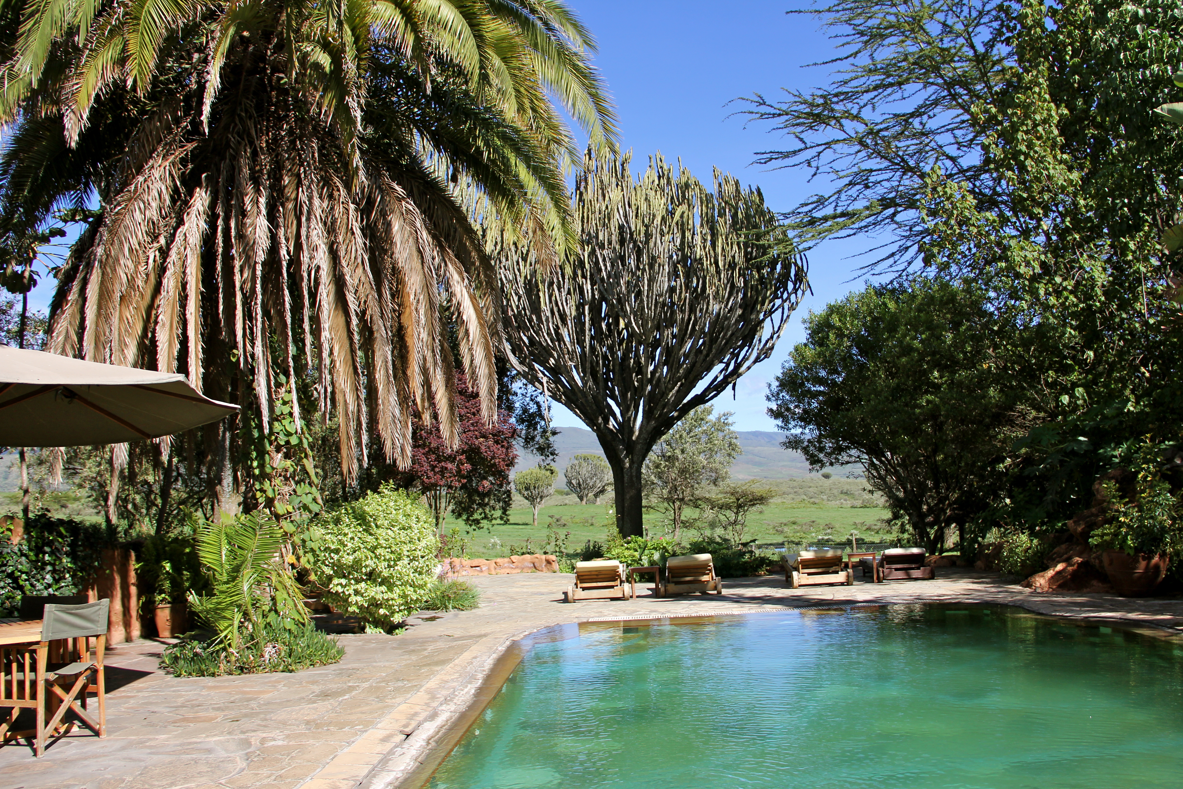 The pool area is a great and relaxing place to be while viewing wildlife passing by at the Sanctuary
