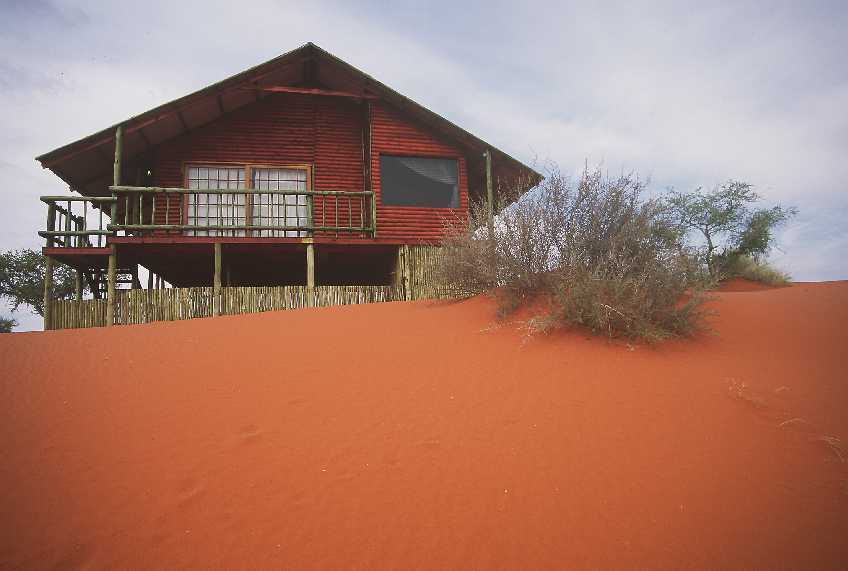 Blended in the Kalahari dunes