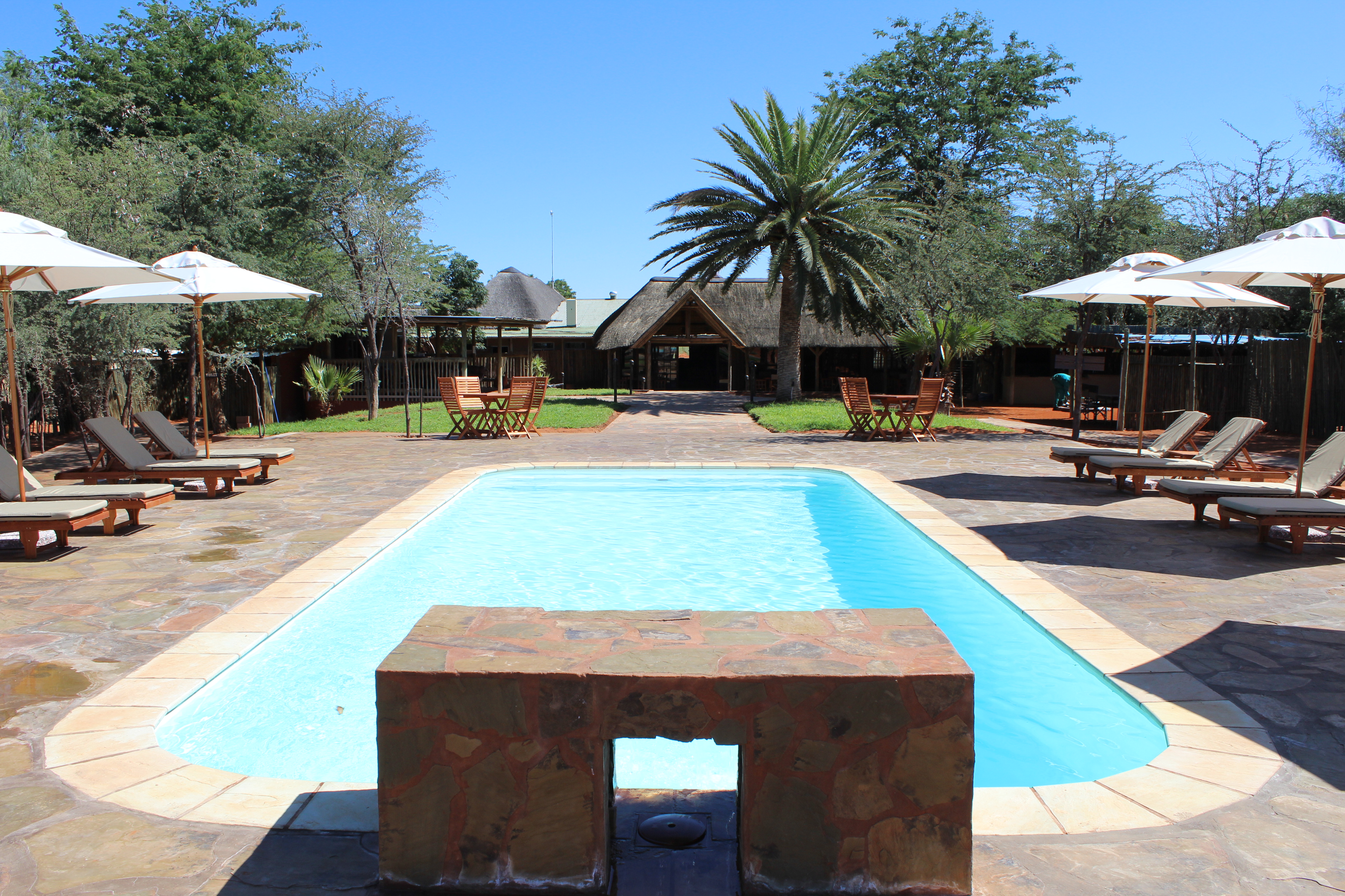 Escape the Desert heat in our refreshing swimming pool
