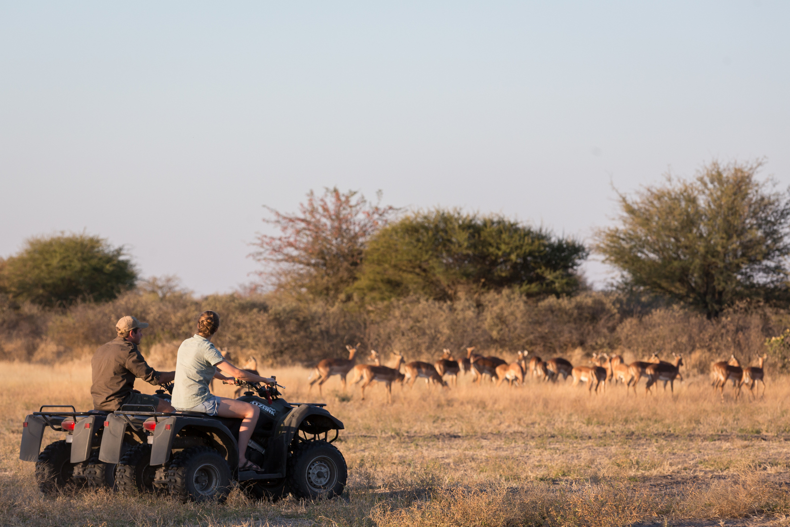 Quad biking in the Central Kalahari