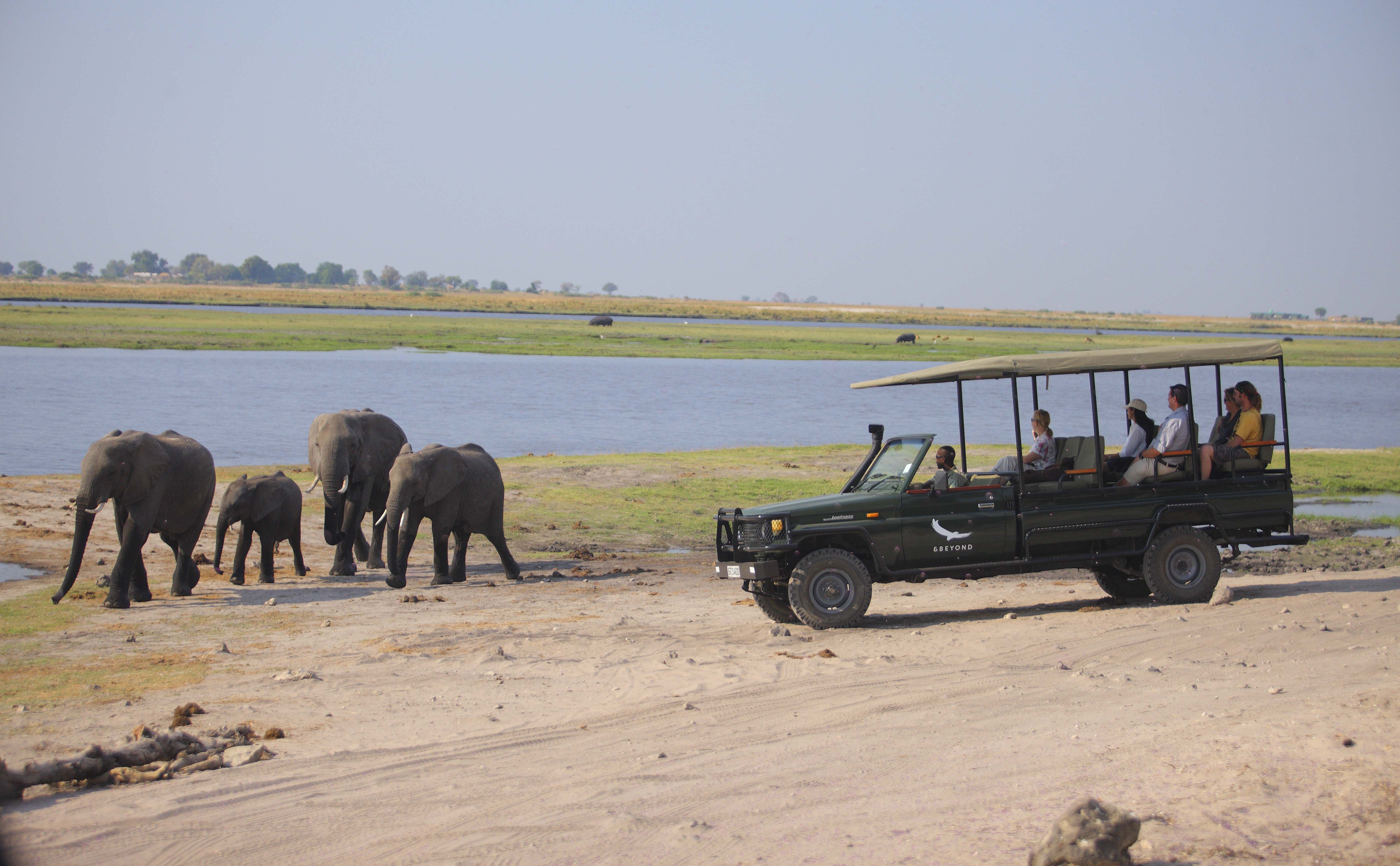 Game Drive at Chobe Under Canvas